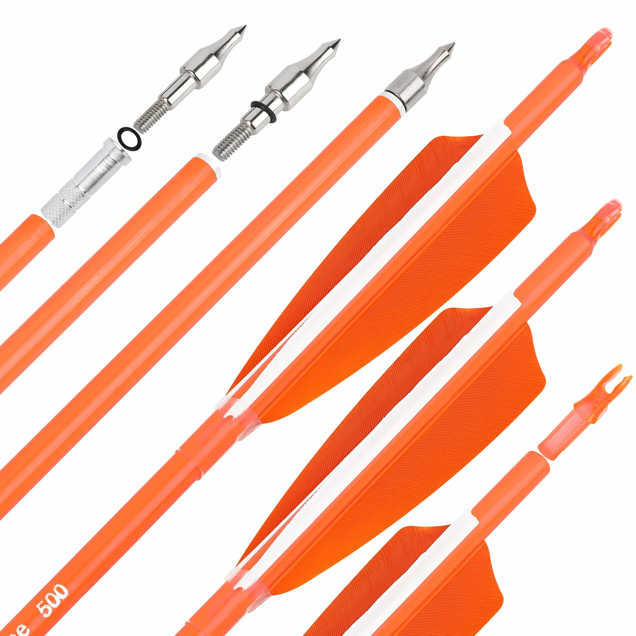 Flèches de Chasse en Carbone Fluorescent 31" 500 600 Spine Plume Naturelle Tir à l'Arc Poulies Recurve Arc Long 6/12pcs