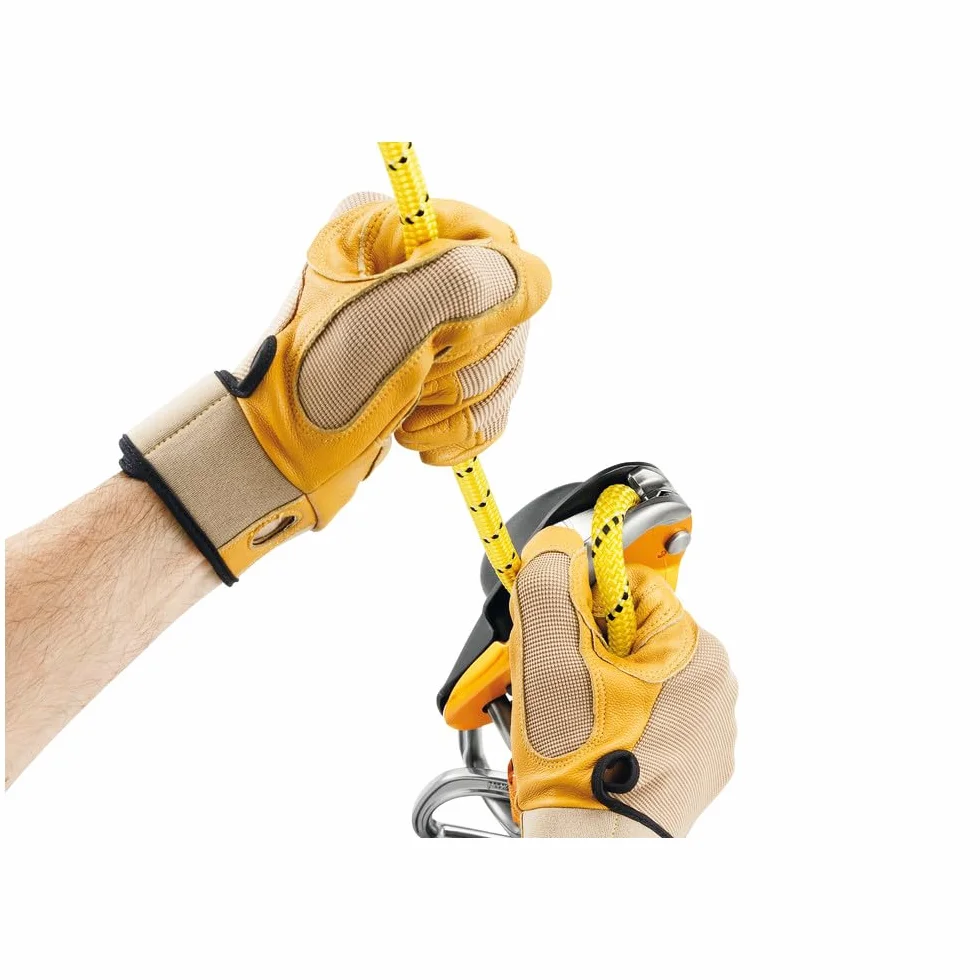 PETZL Pro Ligne Descendeur 2018