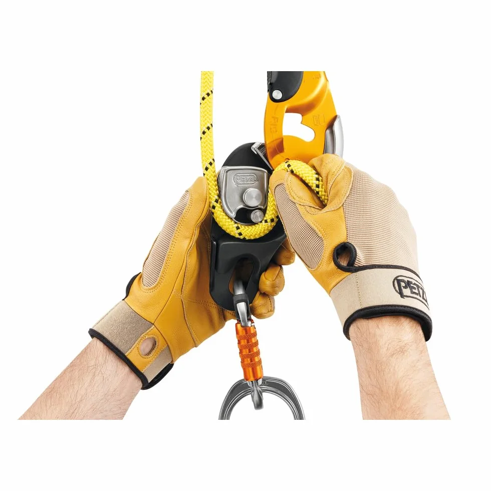 PETZL Pro Ligne Descendeur 2018