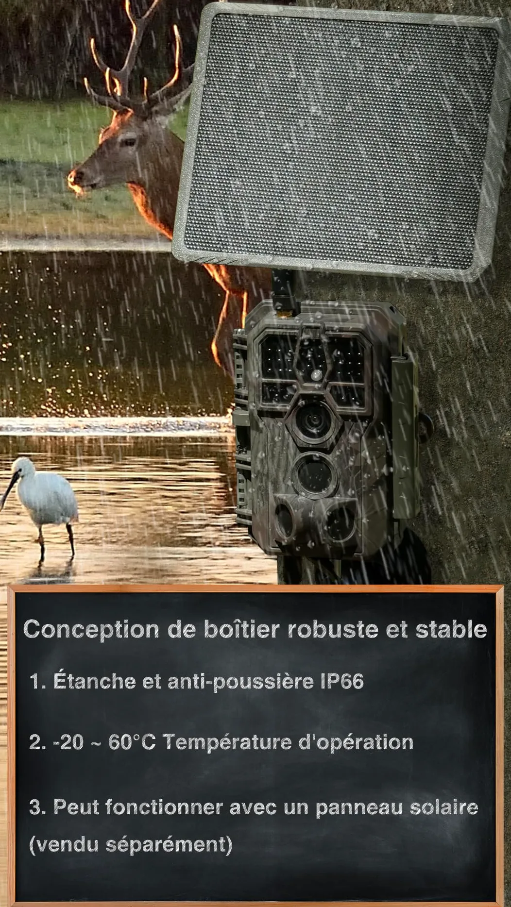 GardePro X50 Pro Max Caméra de Chasse 4G LTE avec Streaming en Direct, Batterie Rechargeable 8000 mAh, Carte SD Intégrée, 48MP 1296P, Caméra X50PLMB No Glow Infrarouge Vision Nocturne