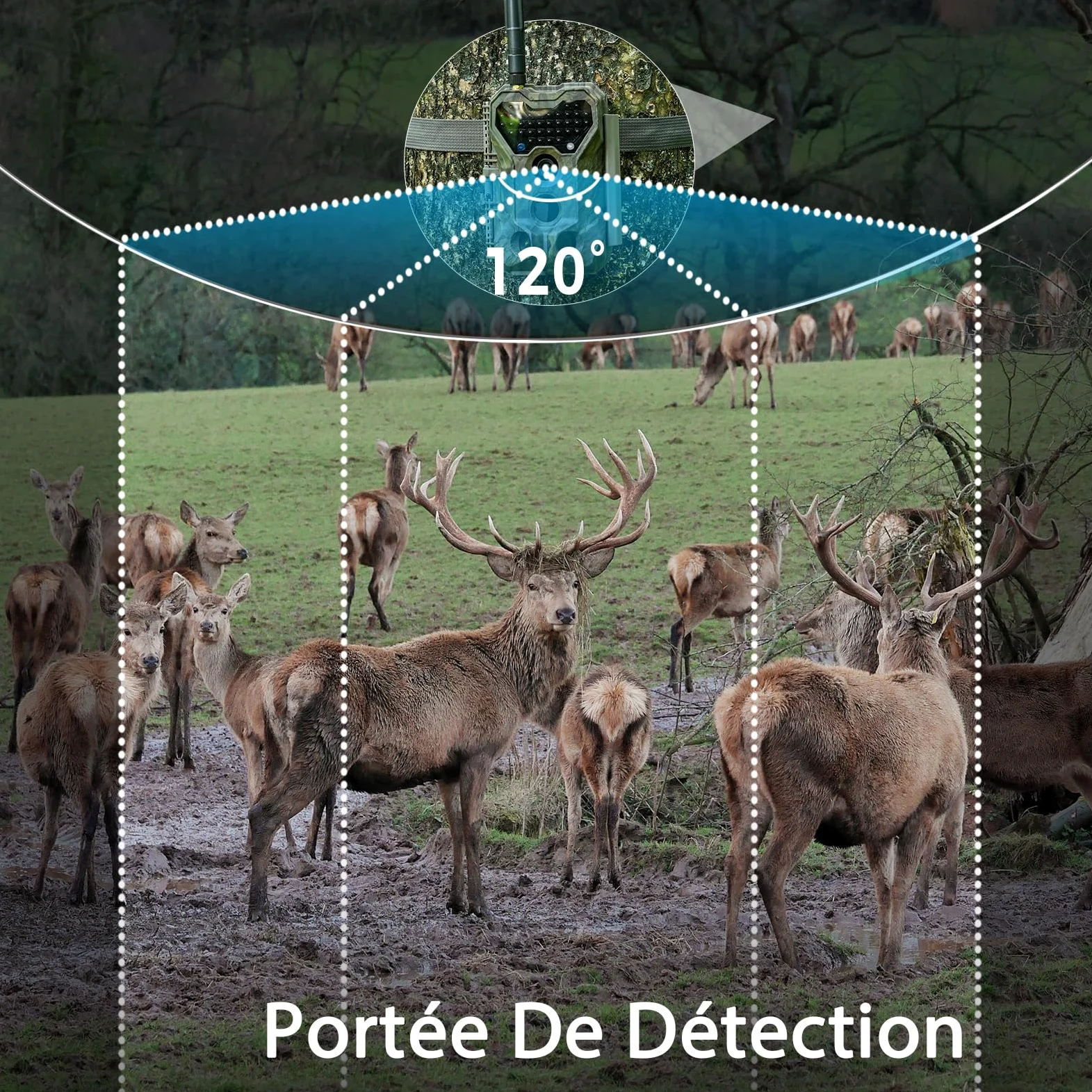 Meidase P300 Caméra de Chasse, WiFi Bluetooth 50m Portée de Connexion, Double Antenne, 64mp 1296p, Vision Nocturne, Activation Mouvement, Ip66 Etanche, Transfert App, Surveillance Extérieure