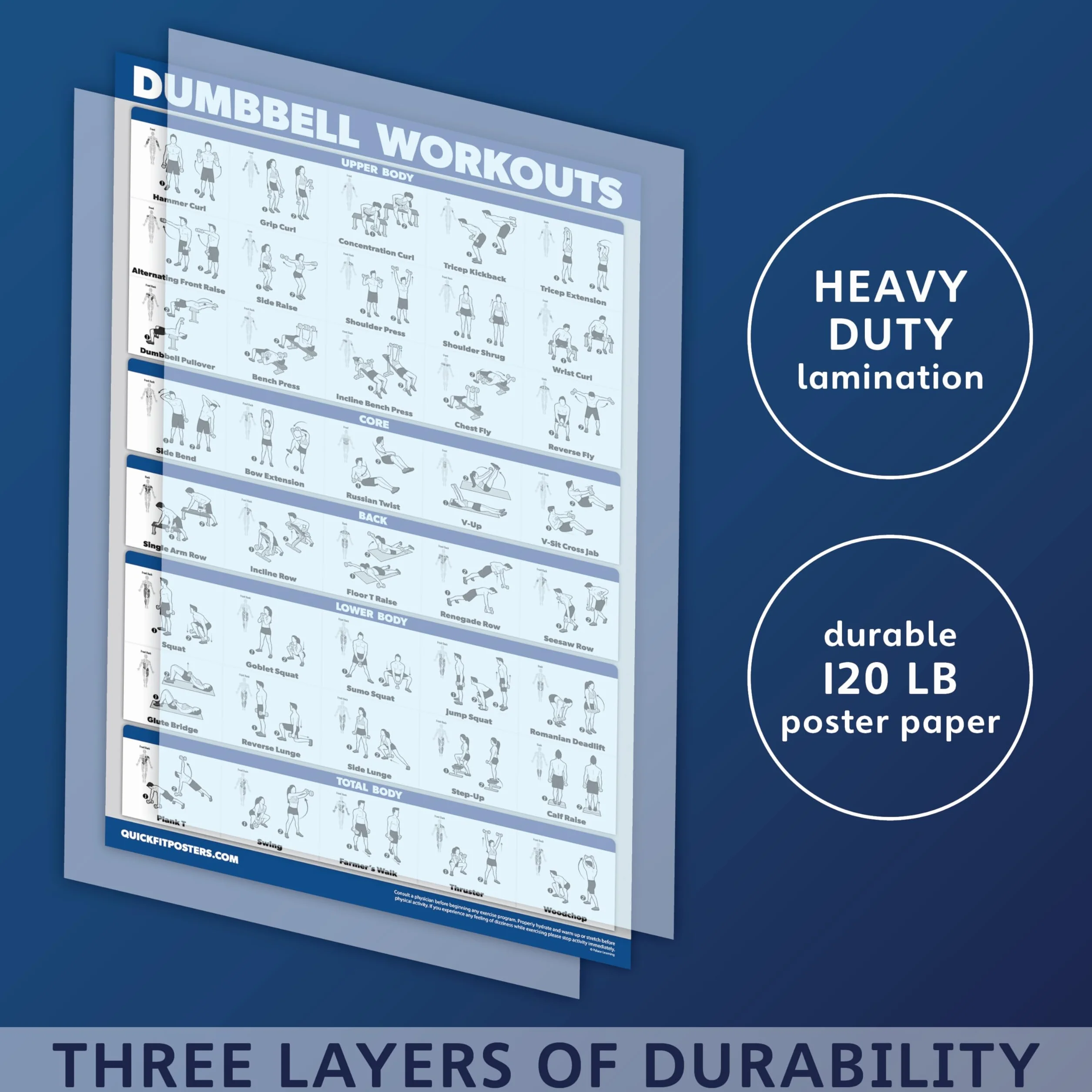 Palace Learning Poster d'exercice d'entraînement avec haltères – Guide de musculation libre laminé 45,7 x 61 cm