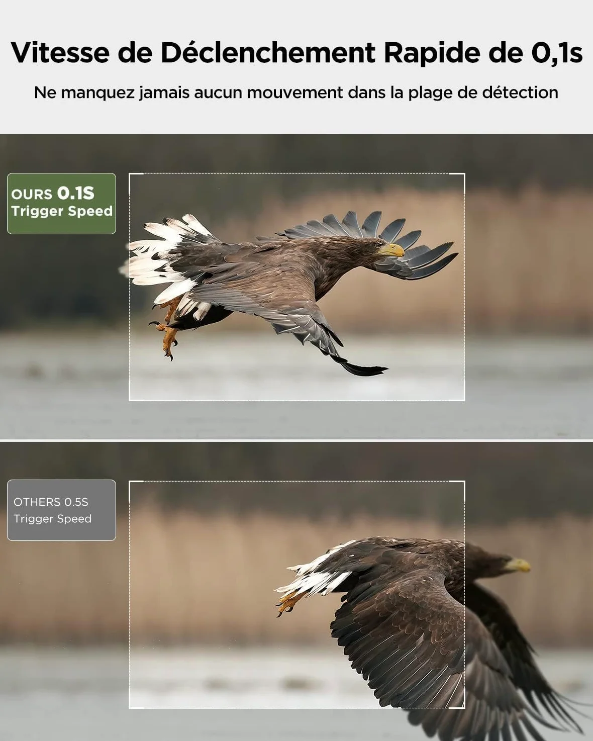 CEYOMUR Caméra 4K 30fps 40MP WiFi Bluetooth avec Vision Nocturne et détection de Mouvement 120° étanche IP66 pour la Surveillance de la Faune