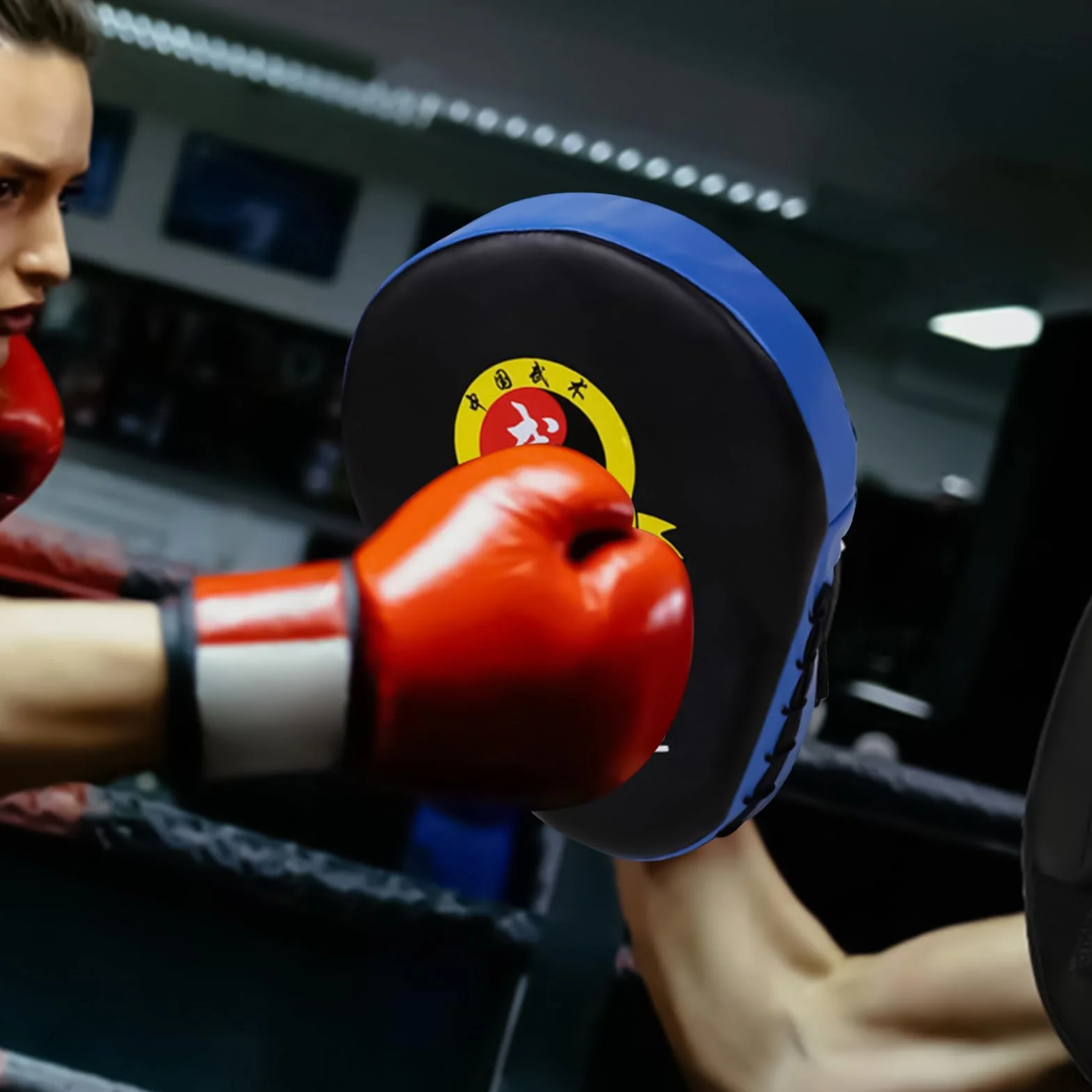 Paire de Pattes d'Entraînement de Boxe Réglable pour Fitness Salle Gym Maison Adultes