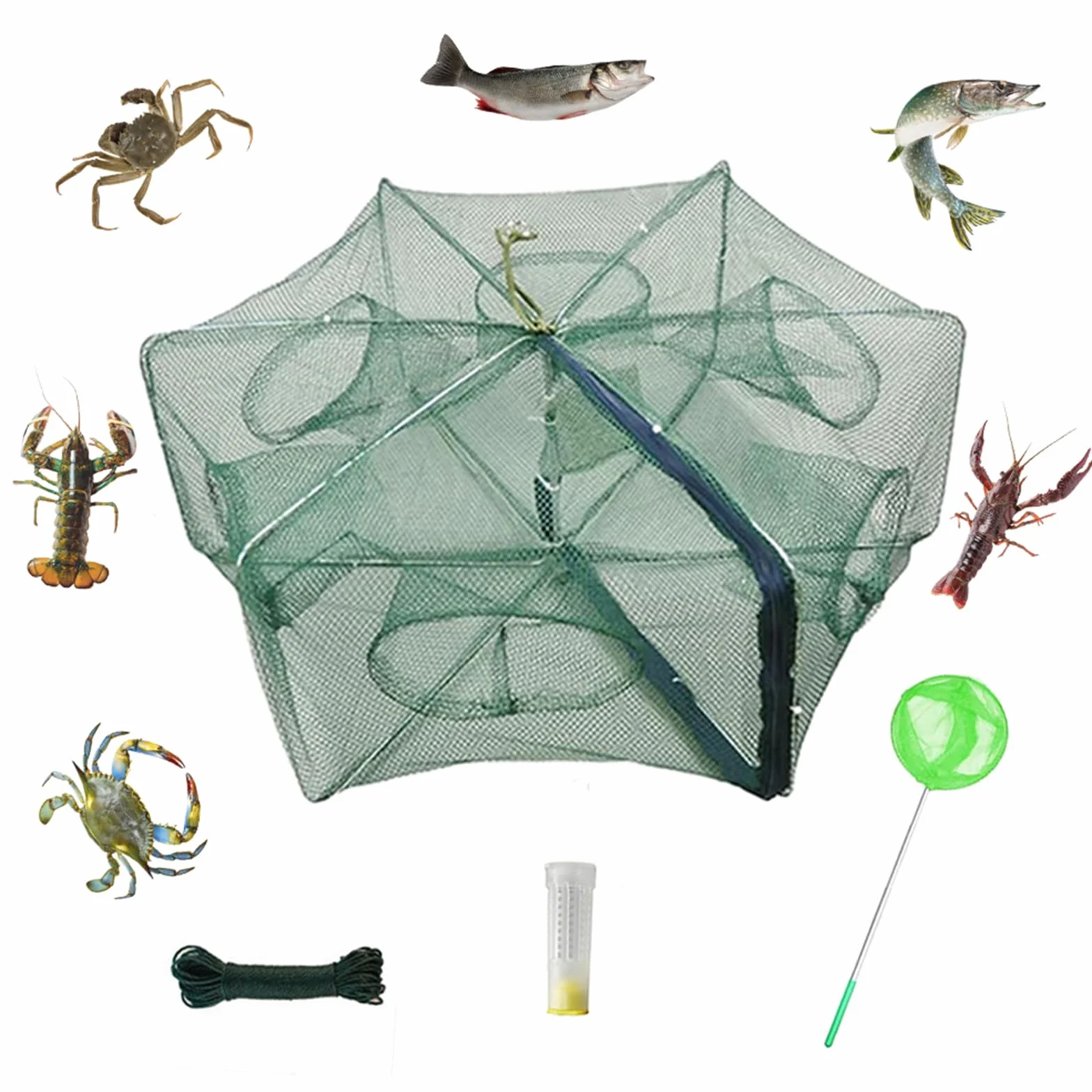 Piège à appâts Pliable pour crabes, écrevisses, ménés, crawdad crevettes et crevettes