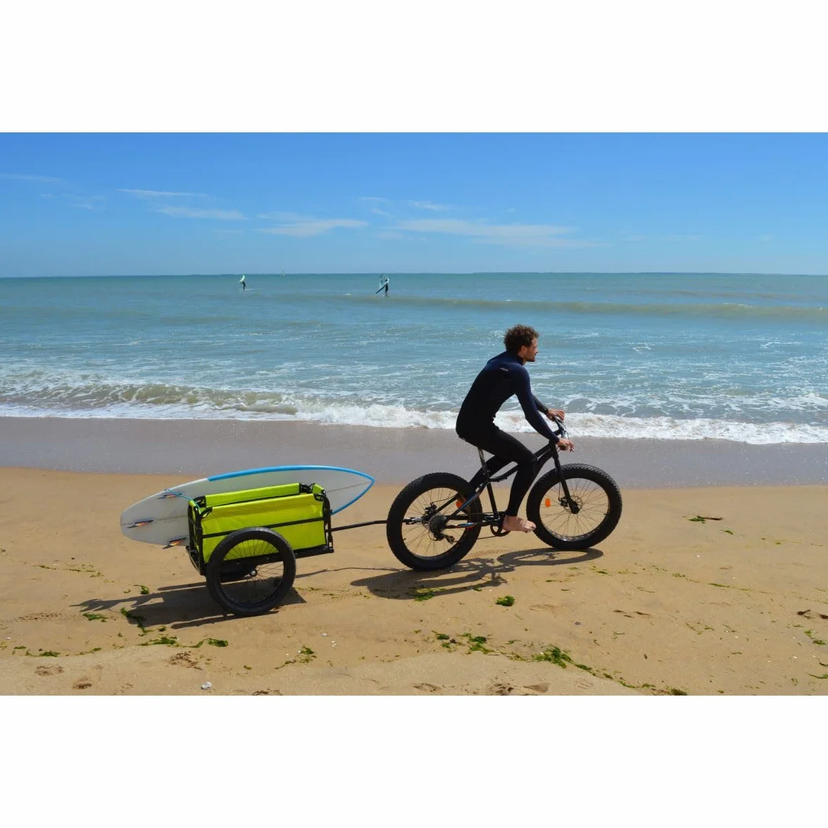 Remorque de Vélo Beach Aluminium Pliable 20" Roues Tout-Terrain Charge Max 60 kg Fixation sur Axe Roue