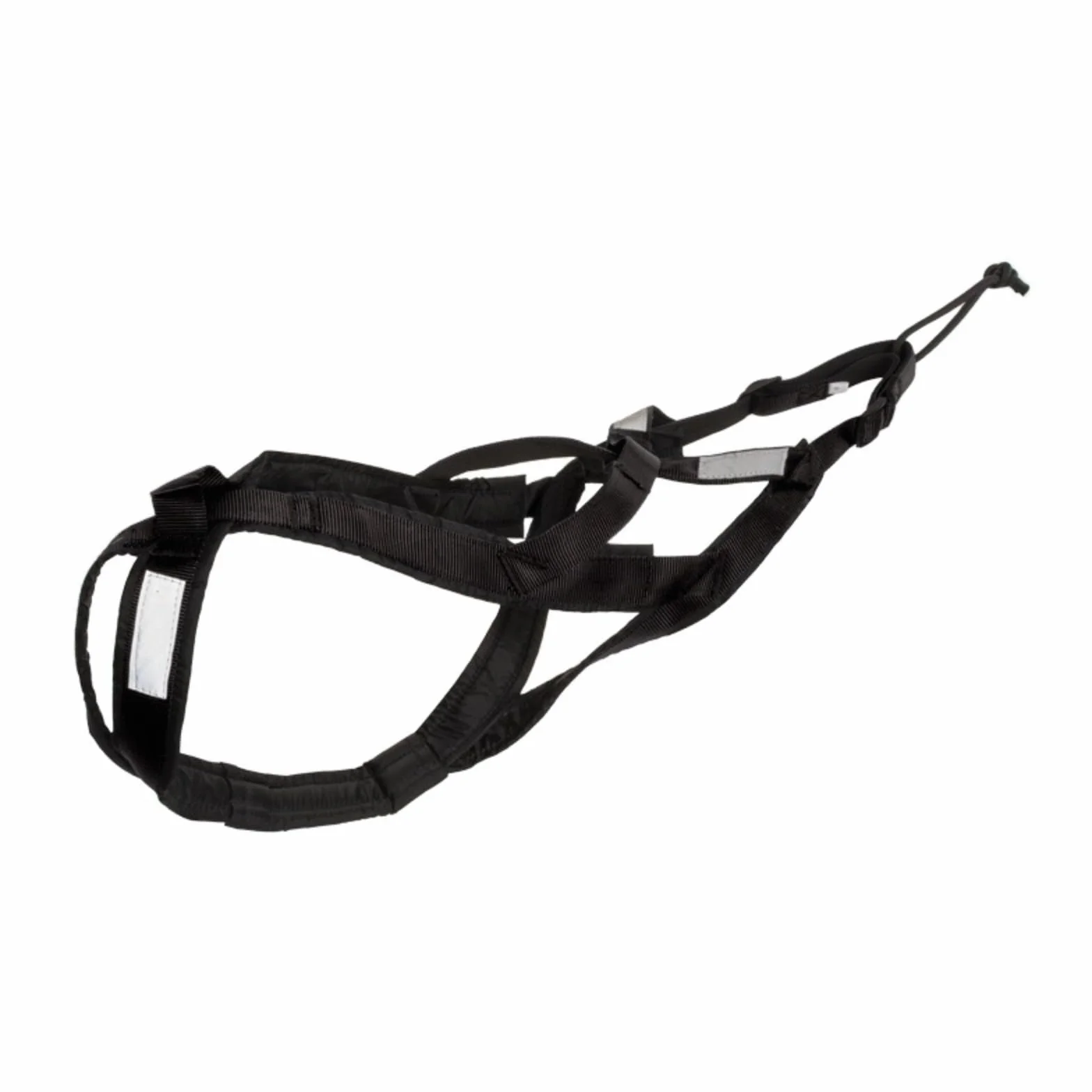 Harnais de traction pour chien Husky, luge et cyclisme animaux de compagnie