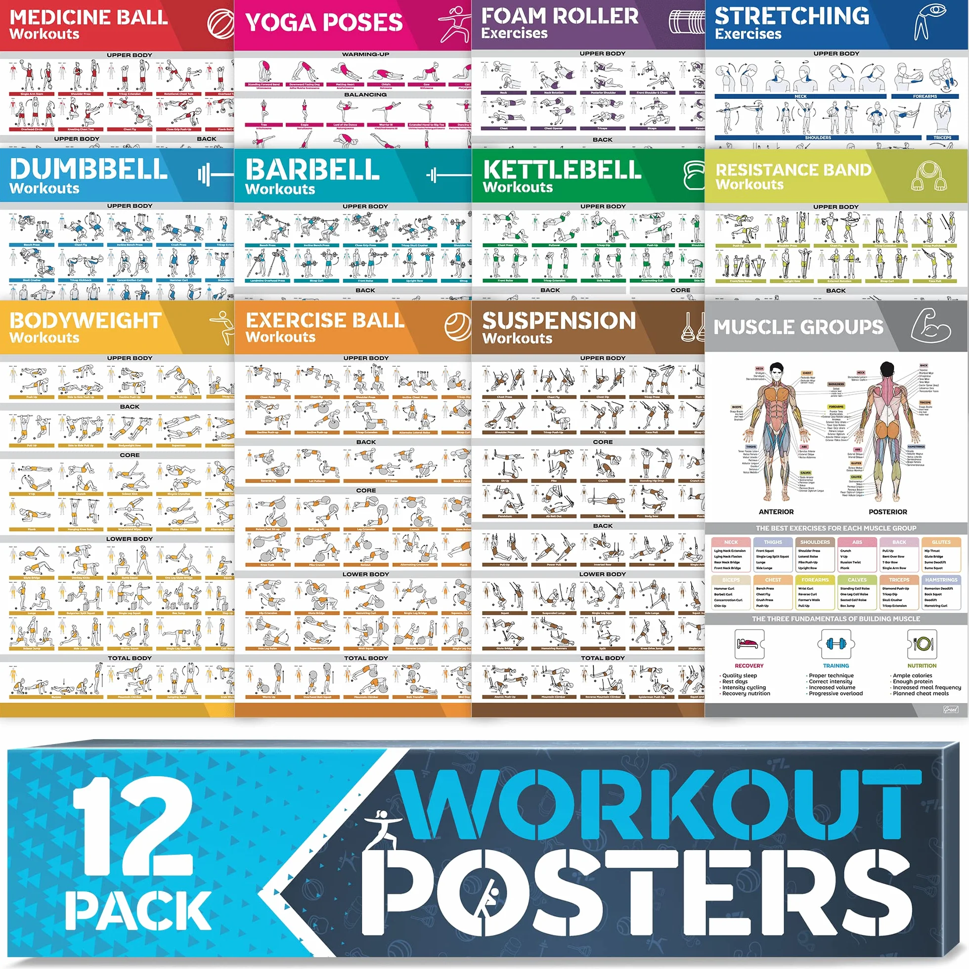 Pack de 12 Grands Posters d'Entraînement Laminés - Affiches Fitness Sport pour la Maison