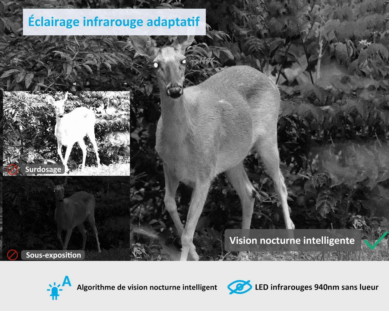 GardePro X20 Caméra de Chasse 4G LTE avec Carte SIM et App | Vidéo H.265 48MP, Vision Nocturne Infrarouge No-Glow de 25m, Détecteur de Mouvement 0,2s et IP66 Étanche
