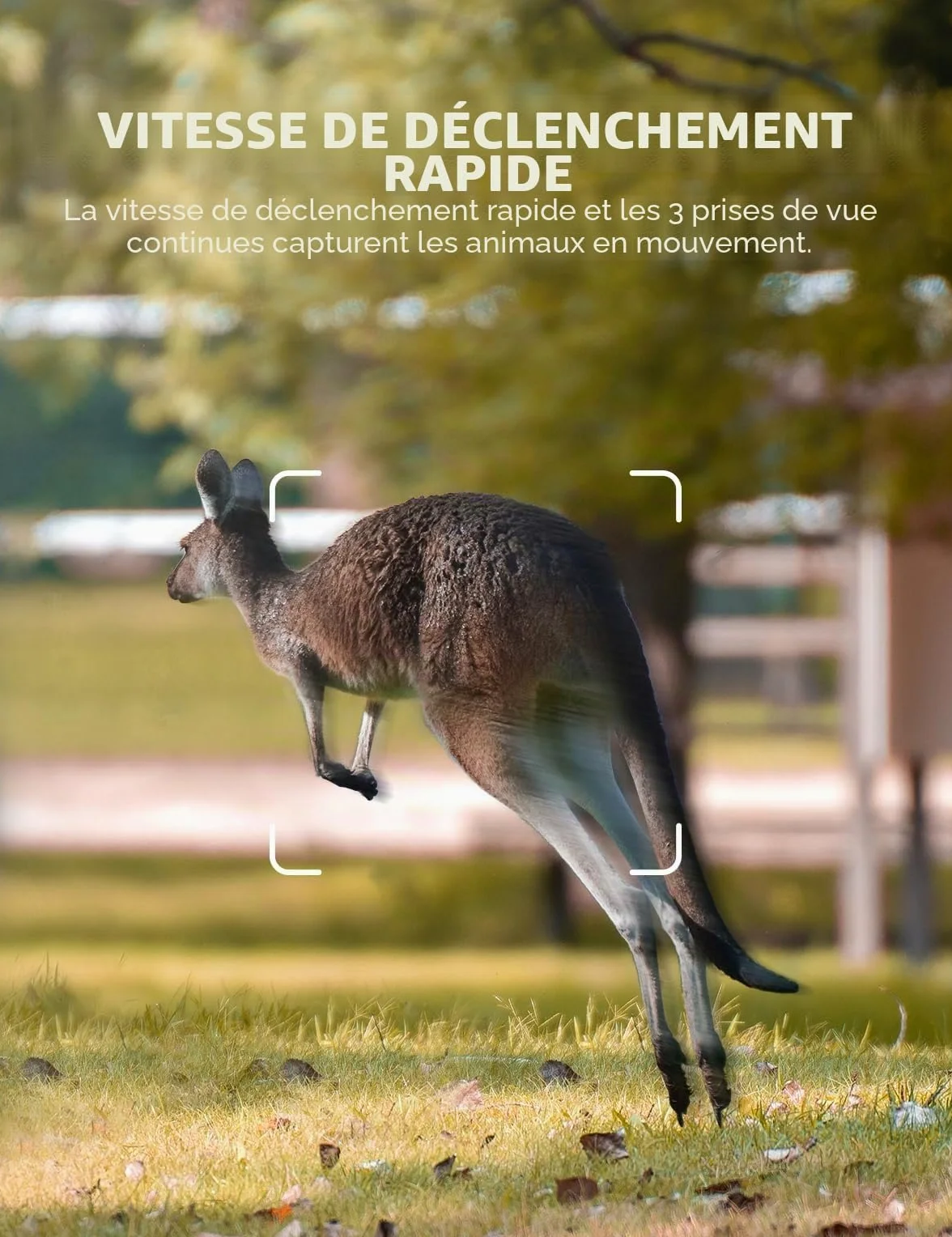 CEYOMUR Camera de Chasse, 4K 30fps Caméra de Chasse avec Vision Nocturne Infrarouge Étanche IP66 et Activée par Le Mouvement Piege Photographique pour la Surveillance de la Faune