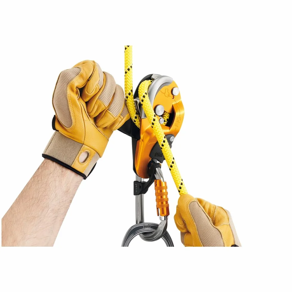 PETZL Pro Ligne Descendeur 2018