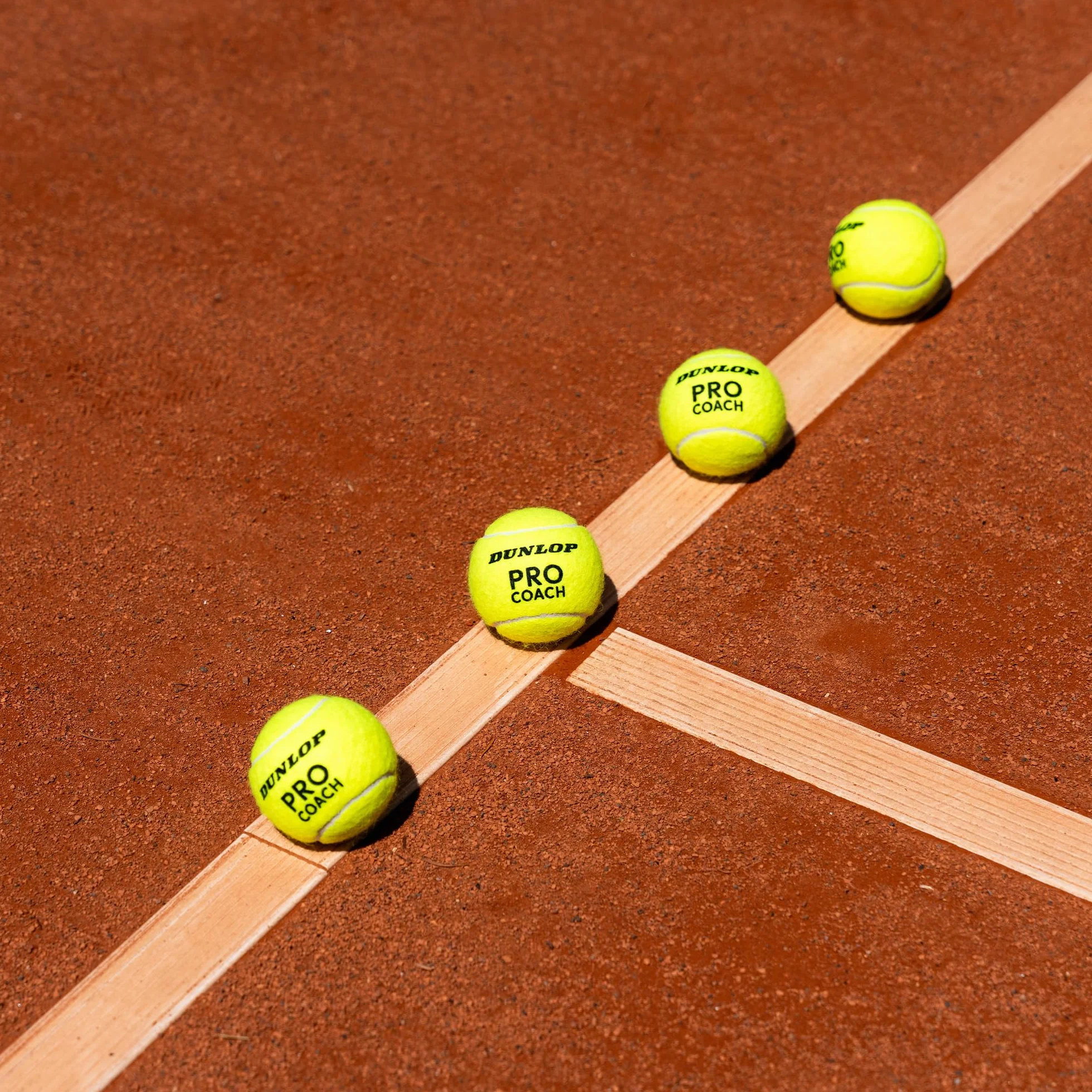 Dunlop Pro Coach Balle de Tennis 4 Balles Entraînement