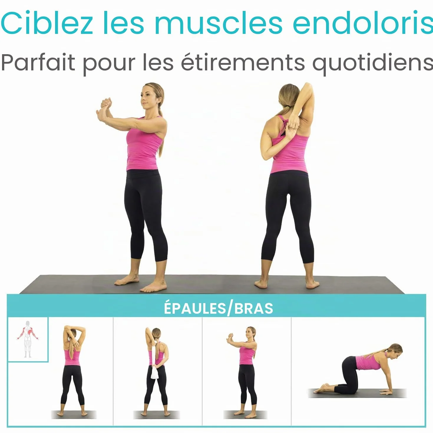 Vive Poster d'exercices d'étirement – Guide de fitness et rééducation – 52 exercices