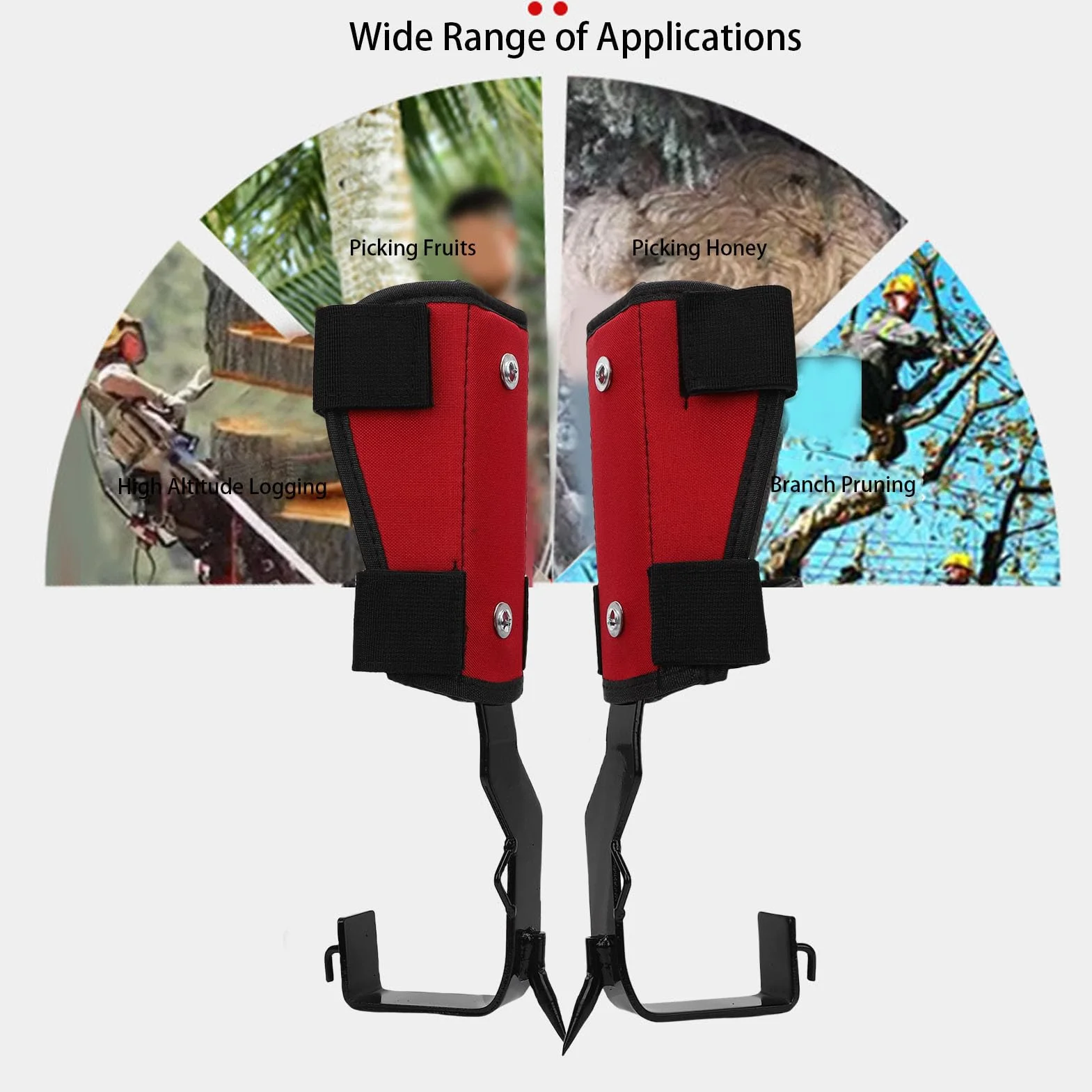 Focket Pointes d'escalade d'arbre Réglable en Acier Inoxydable 1 Paire avec Sangles et Gants