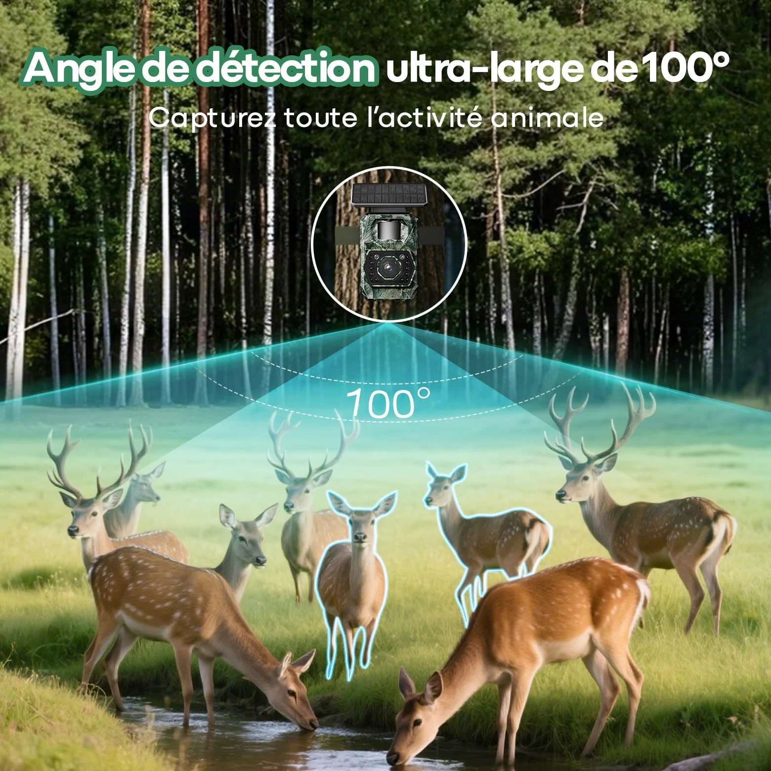 MAXDONE Caméra de Chasse Solaire Wi-FI - 48MP Camera de Chasse Connectée Telephone avec 5200mAh Batterie Rechargeable Camera Infrarouge Vision Nocturne Exterieur Animaux, Etanche IP66