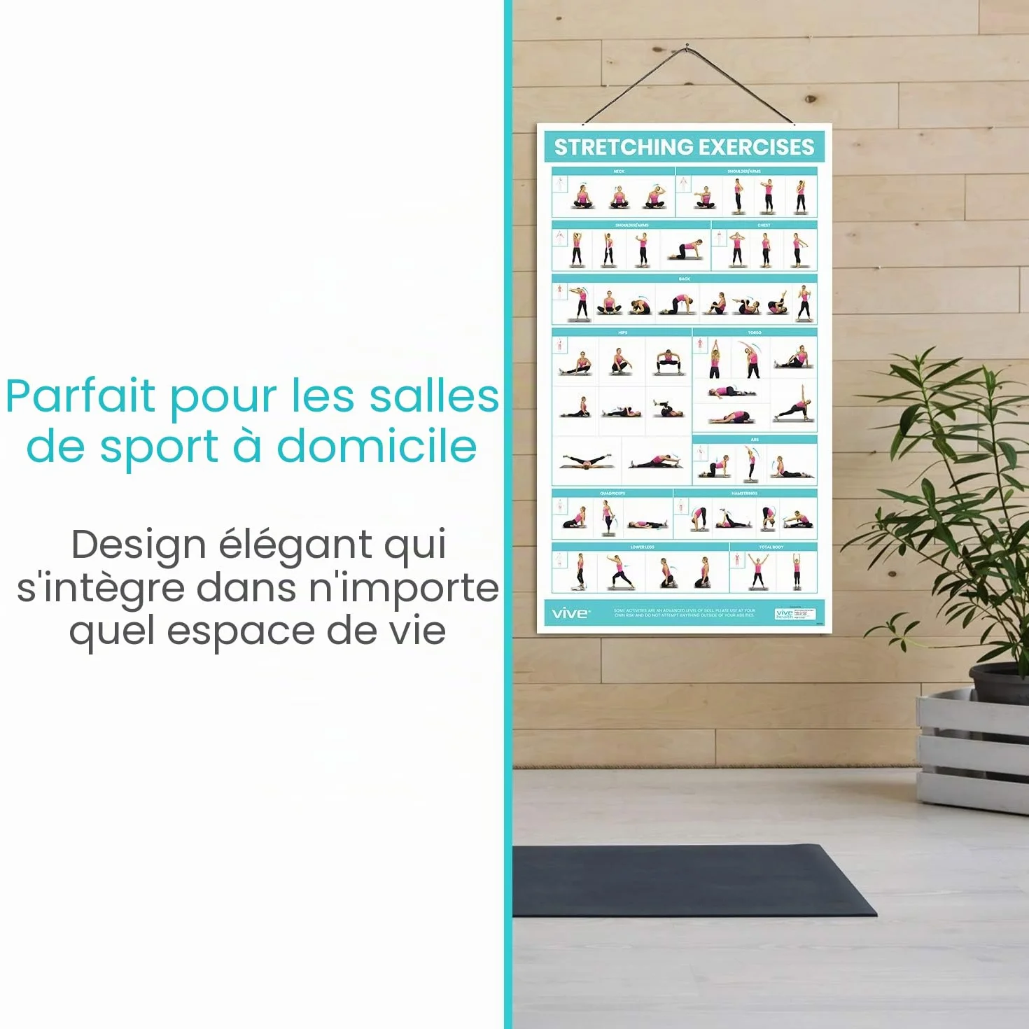 Vive Poster d'exercices d'étirement – Guide de fitness et rééducation – 52 exercices