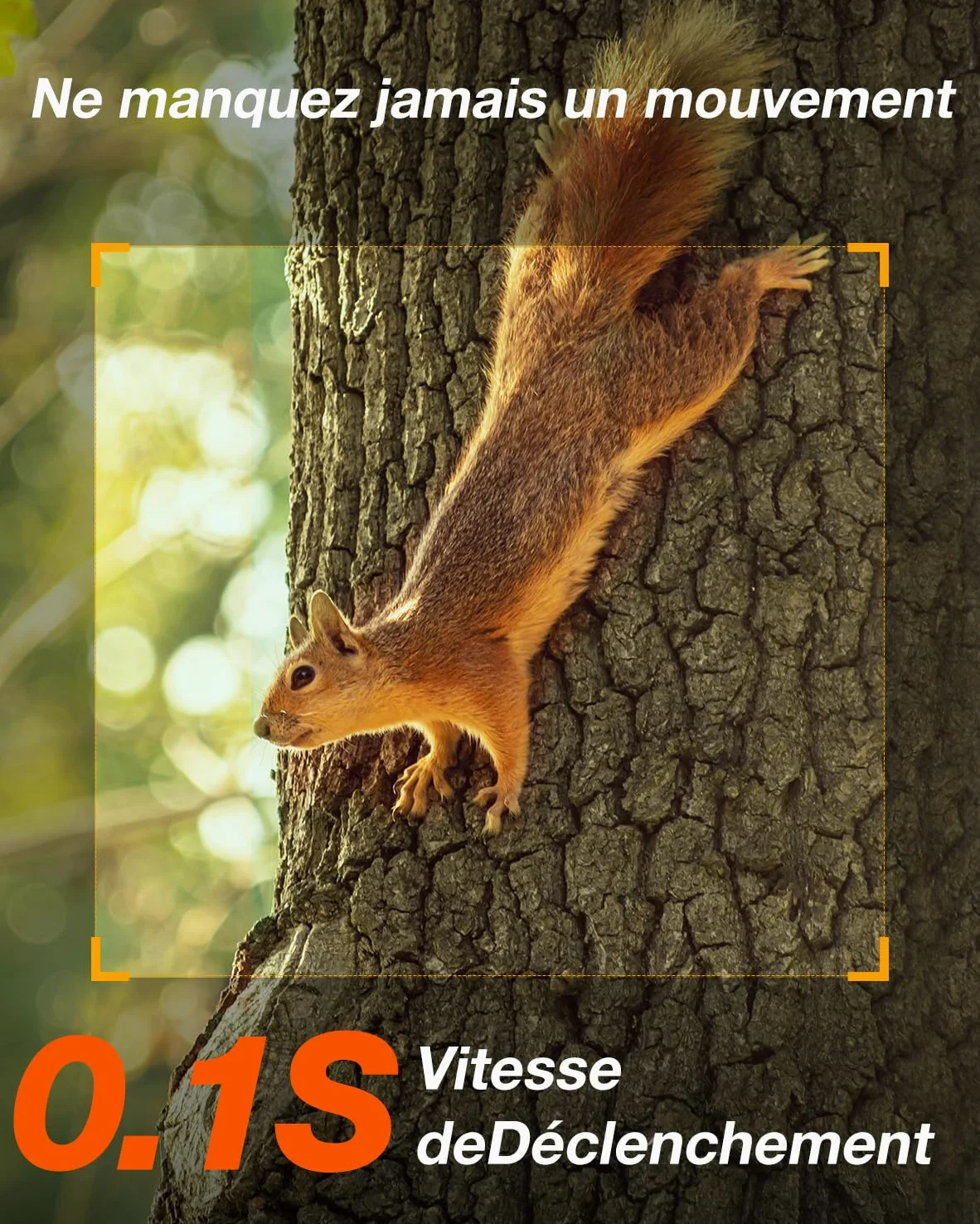 iZEEKER 4G LTE Solaire Caméra de Chasse, 2K PTZ Caméra Chasse avec Carte SD et SIM, 360° Rotation, Diffusion en Direct & Accès à Distance, 940nm sans Lueur IR, Activée par Le Mouvement IP65 Etanche