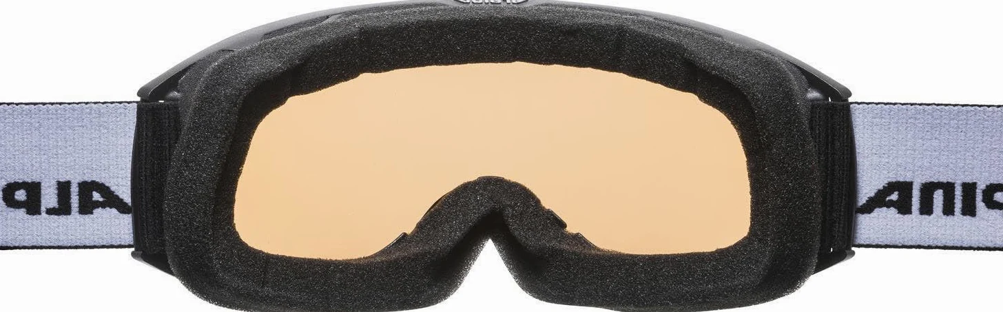 ALPINA Nakiska Q-lite Lunettes de ski Unisexe - Adultes (lot de 1)
