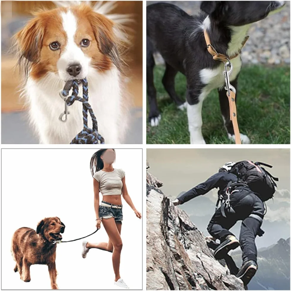 Lot de 8 mousquetons à double extrémité en acier inoxydable pour laisses chien, camping, porte-clés