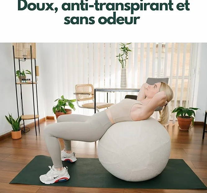 Ballon Yoga Housse