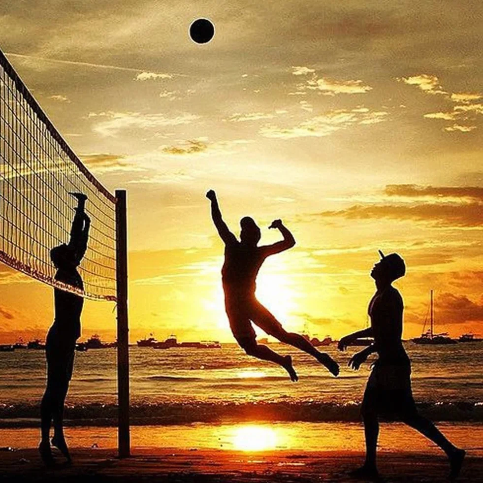 Filet de Volley-Ball Standard 9,5 m x 1 m Filet de Rechange Durable pour Piscine, Plage, Jardin