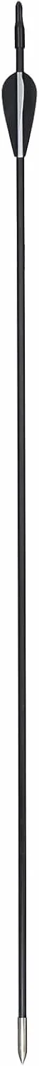 Flèches Fibre de Verre 31 Pouces Spine 800 pour Tir à l'Arc Recurve et Sport - Lot de 12