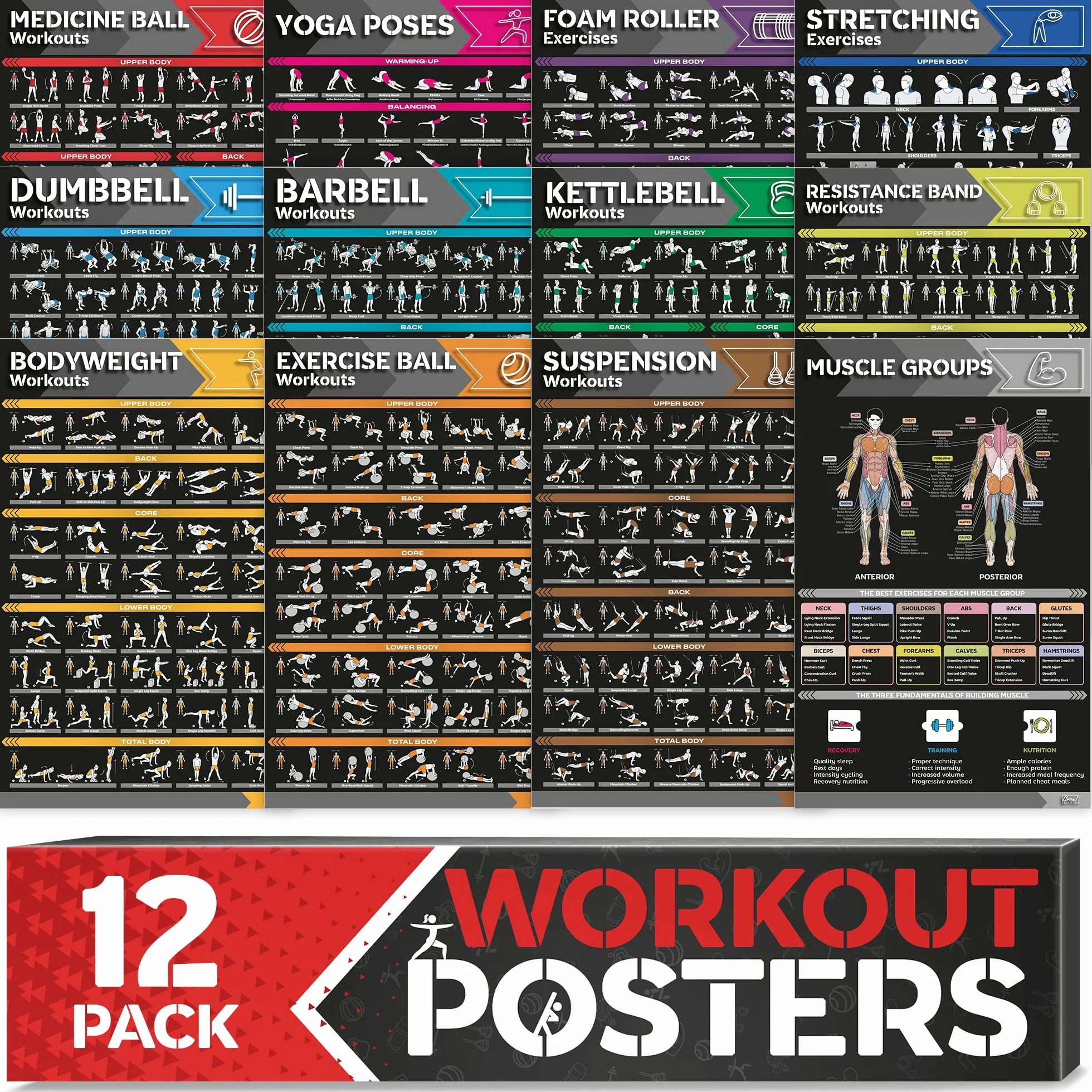 GRAND BASICS Lot de 12 grandes affiches d'entraînement laminées pour salle de sport à domicile avec haltères
