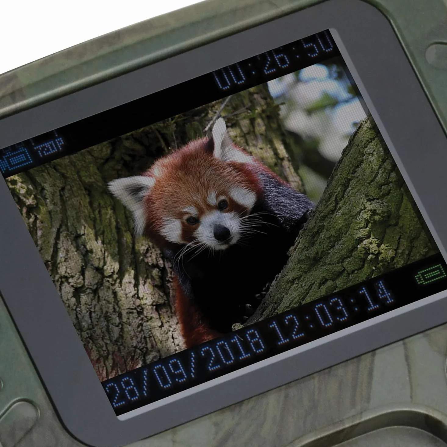 Technaxx Mini Nature Wild CAM TX-117