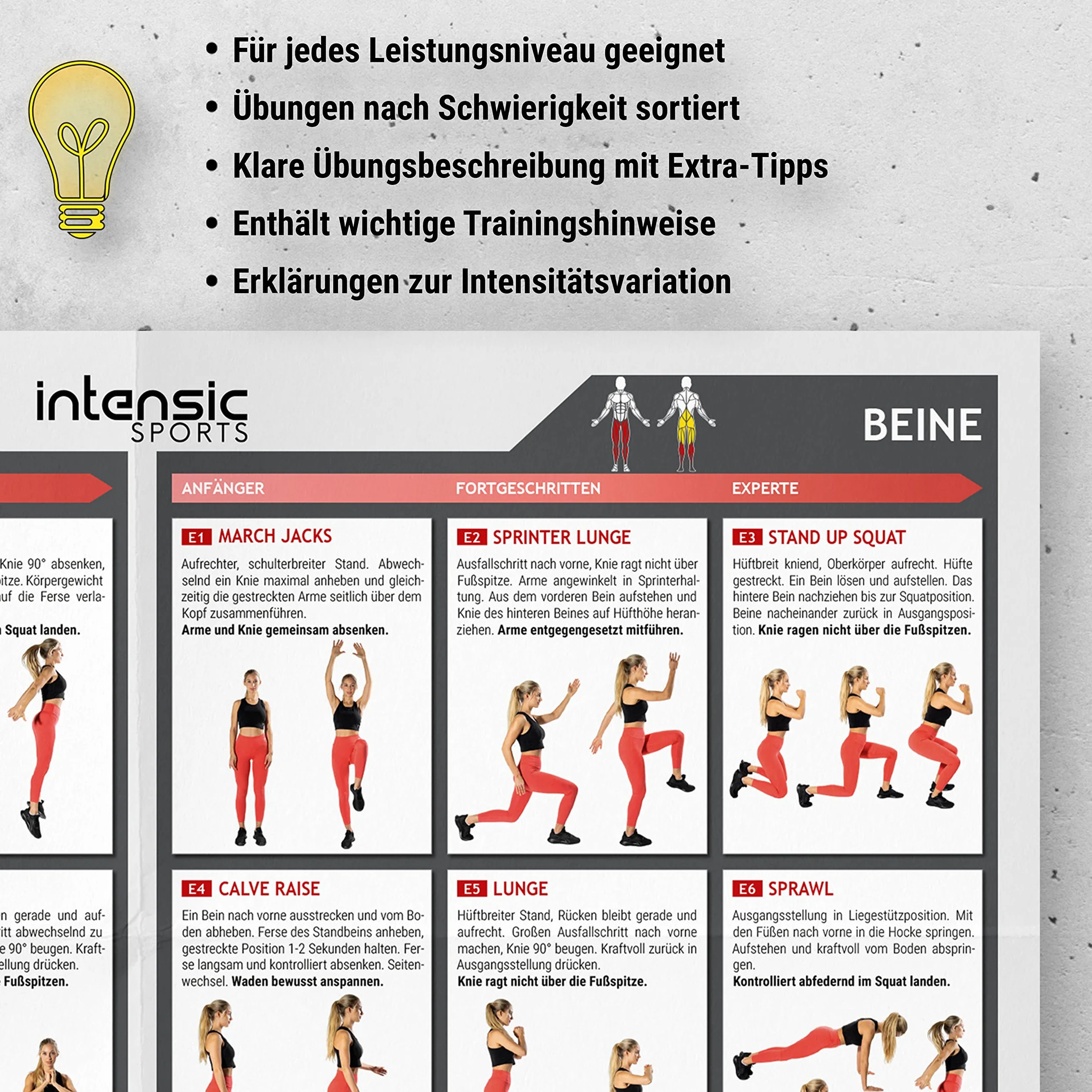 Poster d'Entraînement Abdominaux Jambes Fesses - 60 Exercices Fitness Développement Musculaire Maison