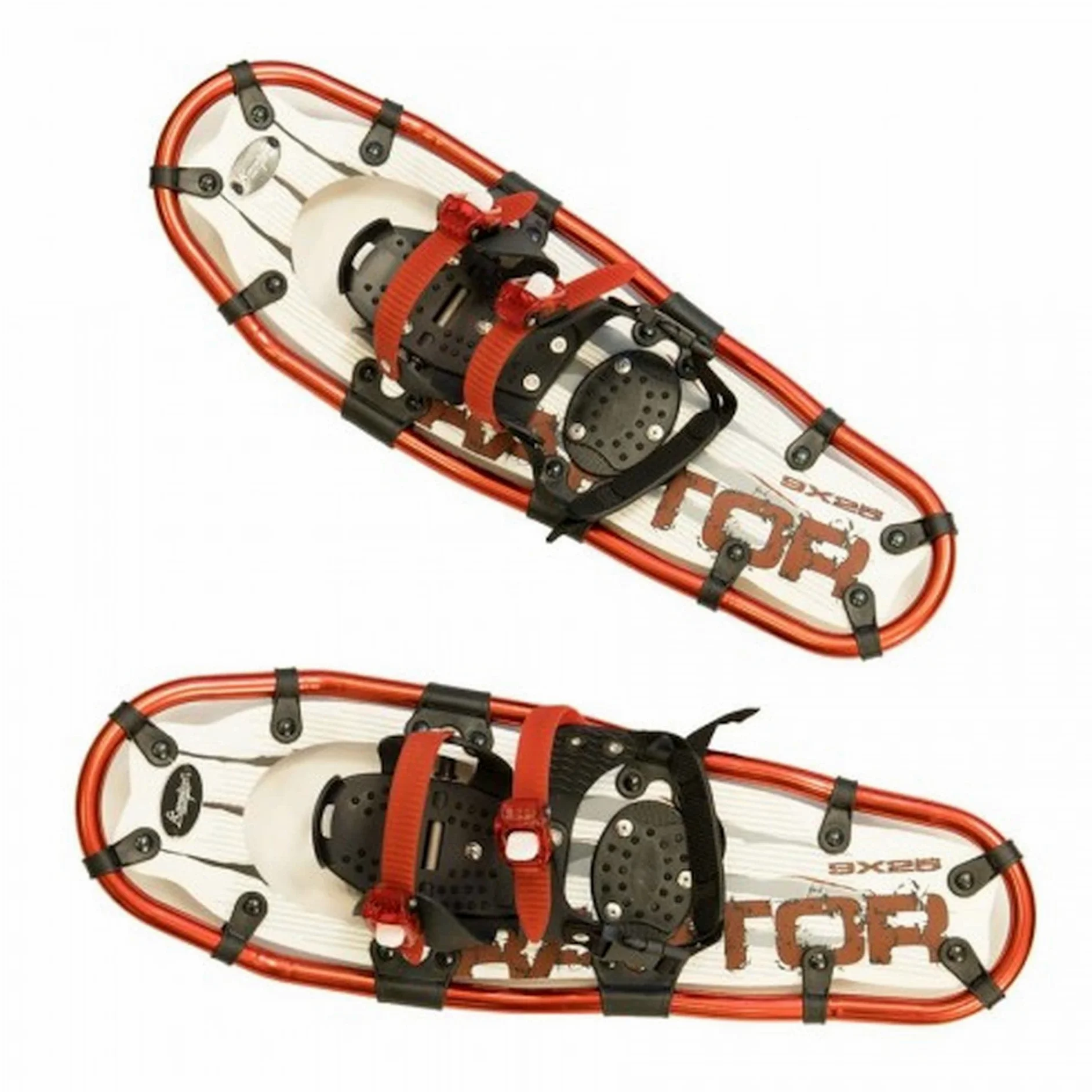 Raquettes de Neige RAPTOR Unisexe Adulte - Sac de Transport inclus