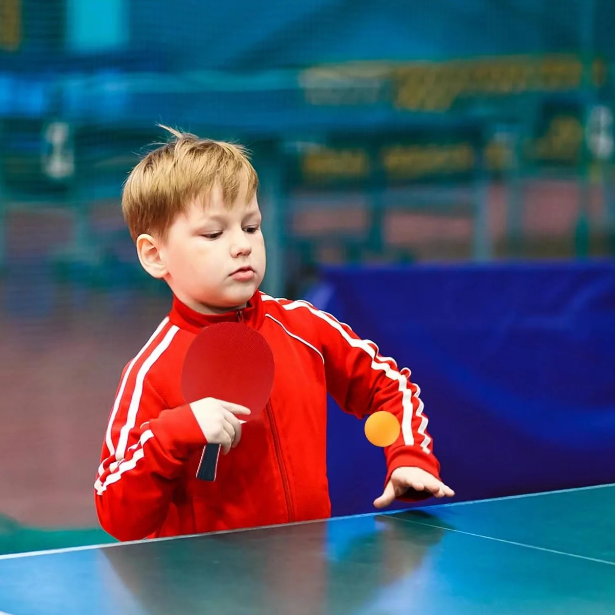Ensemble de Raquettes de Ping-Pong Professionnel 2 Raquettes 3 Balles 1 Sac Tennis de Table