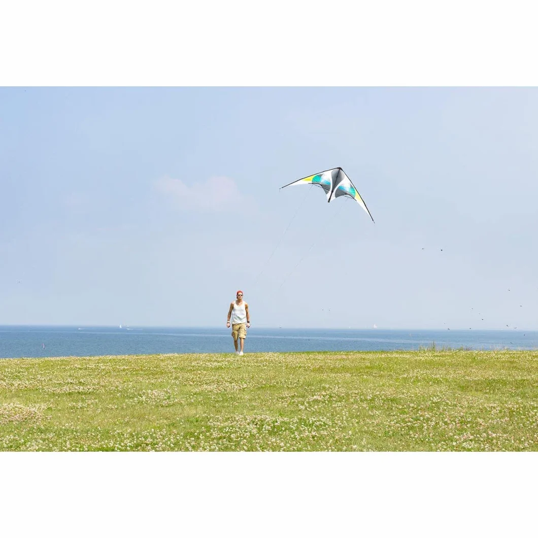 HQ Jive III Cerf-Volant 2 Lignes