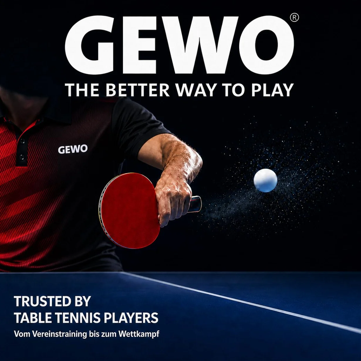 GEWO Schlger CS Energie Carbone