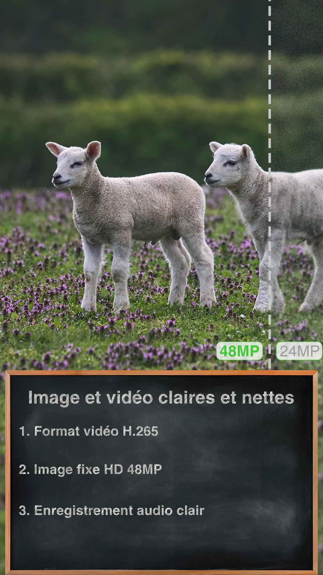 GardePro X50 Pro Max Caméra de Chasse 4G LTE avec Streaming en Direct, Batterie Rechargeable 8000 mAh, Carte SD Intégrée, 48MP 1296P, Caméra X50PLMB No Glow Infrarouge Vision Nocturne