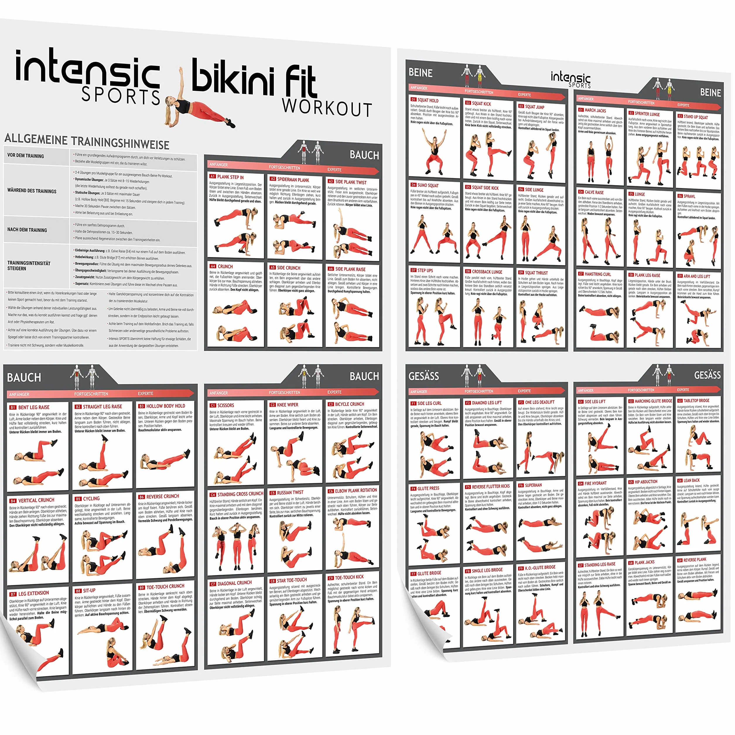 Poster d'Entraînement Abdominaux Jambes Fesses - 60 Exercices Fitness Développement Musculaire Maison