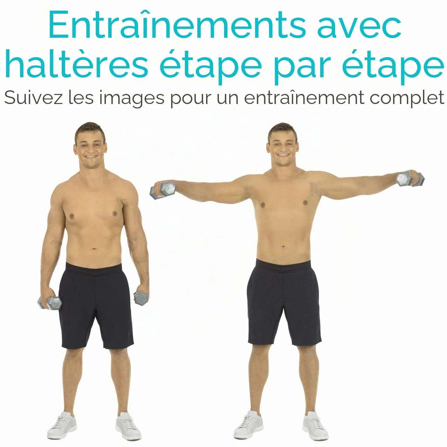 Vive Affiche d'exercices d'haltères plastifiée 76,2 x 43,2 cm pour haut, bas et corps