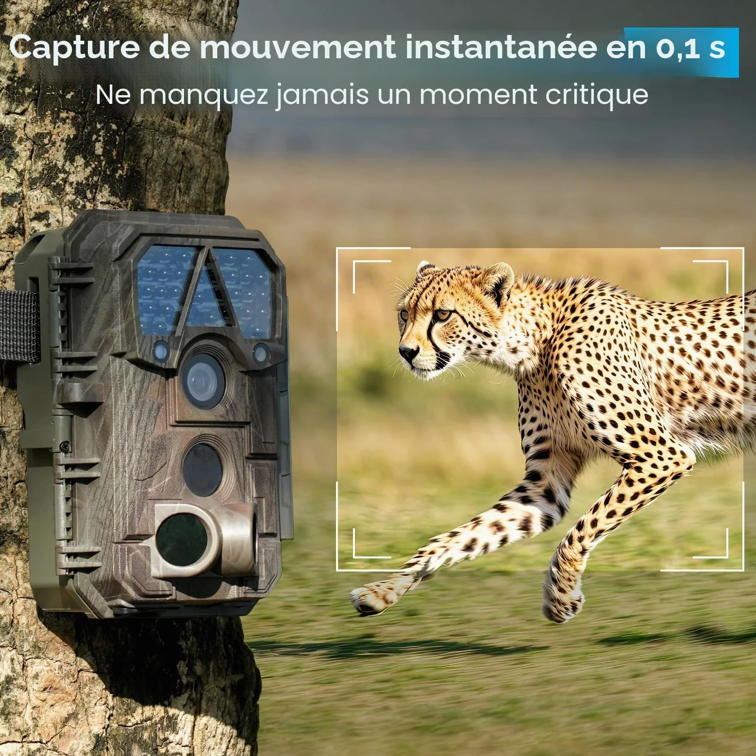 Meidase Caméra de Chasse P70, 64 MP 1296p, caméras de Jeu avec Vision Nocturne Infrarouge sans Lueur, activée par Le Mouvement, étanche pour caméras de Chasse