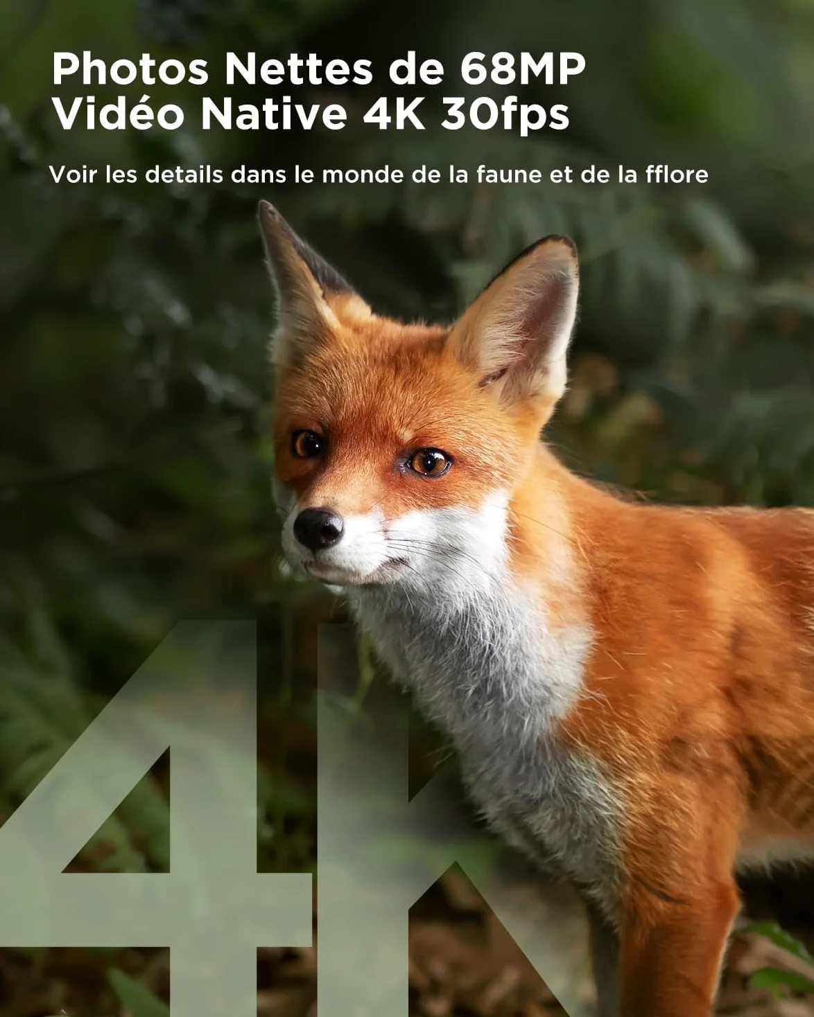 CEYOMUR Caméra 4K 30fps 40MP WiFi Bluetooth avec Vision Nocturne et détection de Mouvement 120° étanche IP66 pour la Surveillance de la Faune