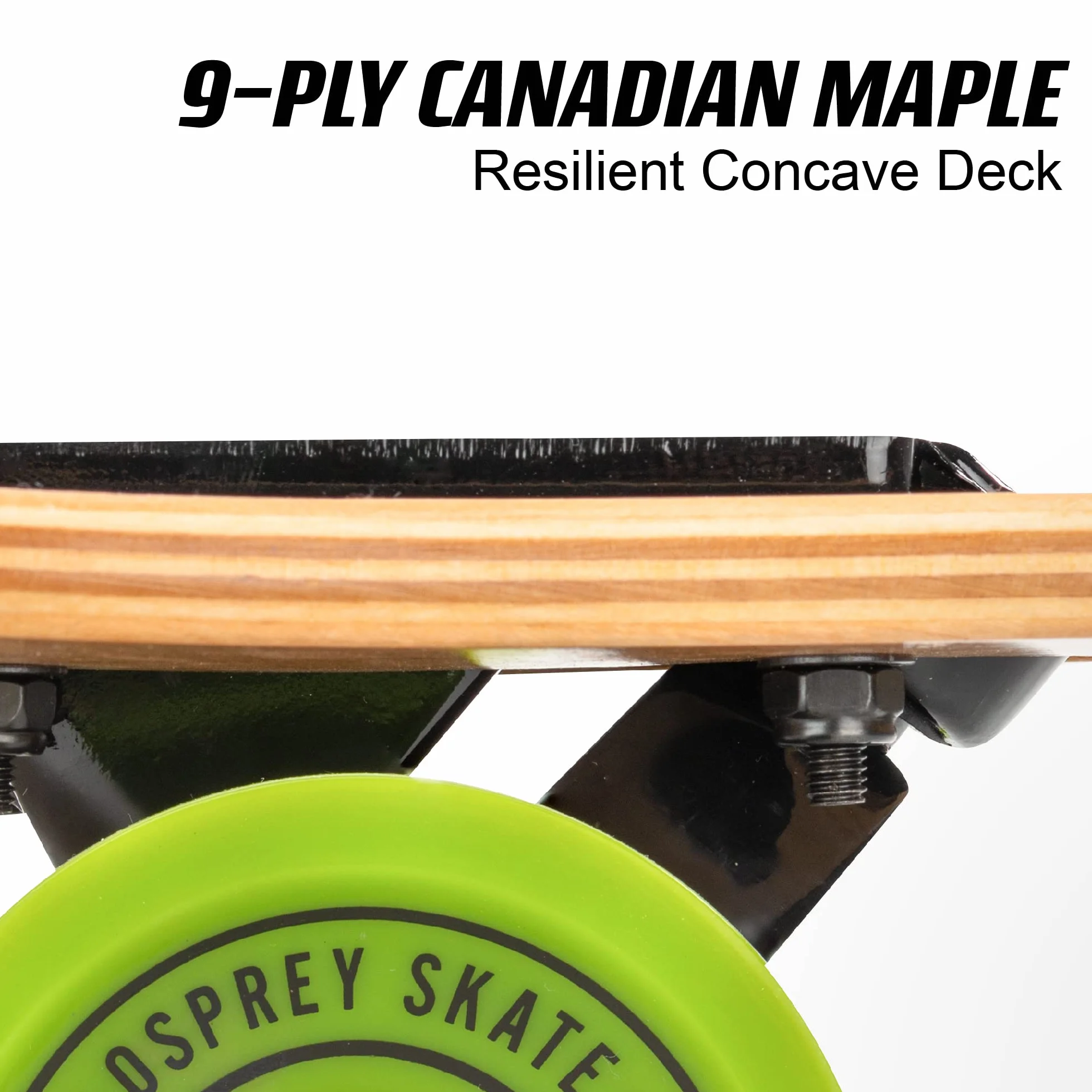 Osprey Longboard à Double Pointe en érable Canadien, Planche à roulettes complète