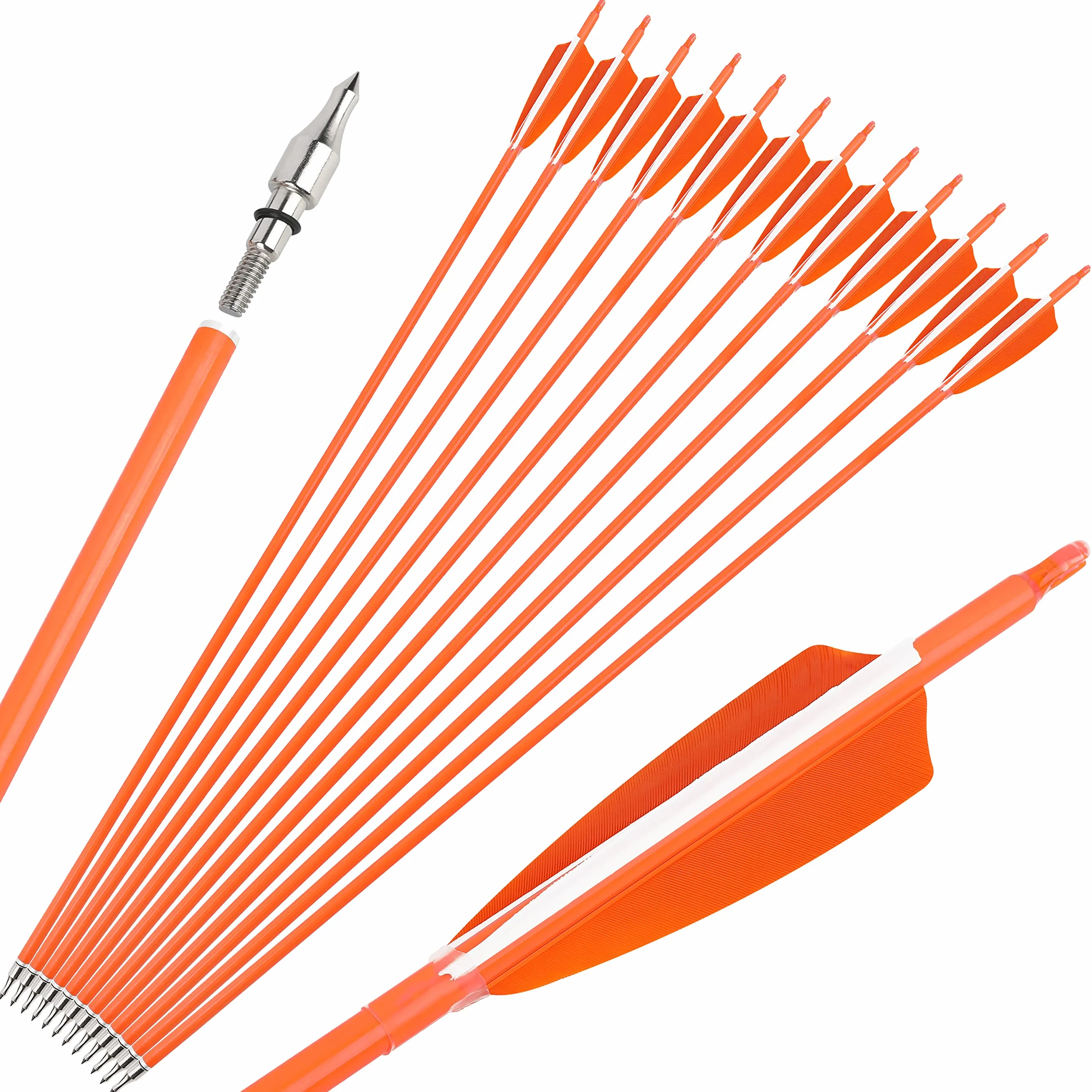 Flèches de Chasse en Carbone Fluorescent 31" 500 600 Spine Plume Naturelle Tir à l'Arc Poulies Recurve Arc Long 6/12pcs