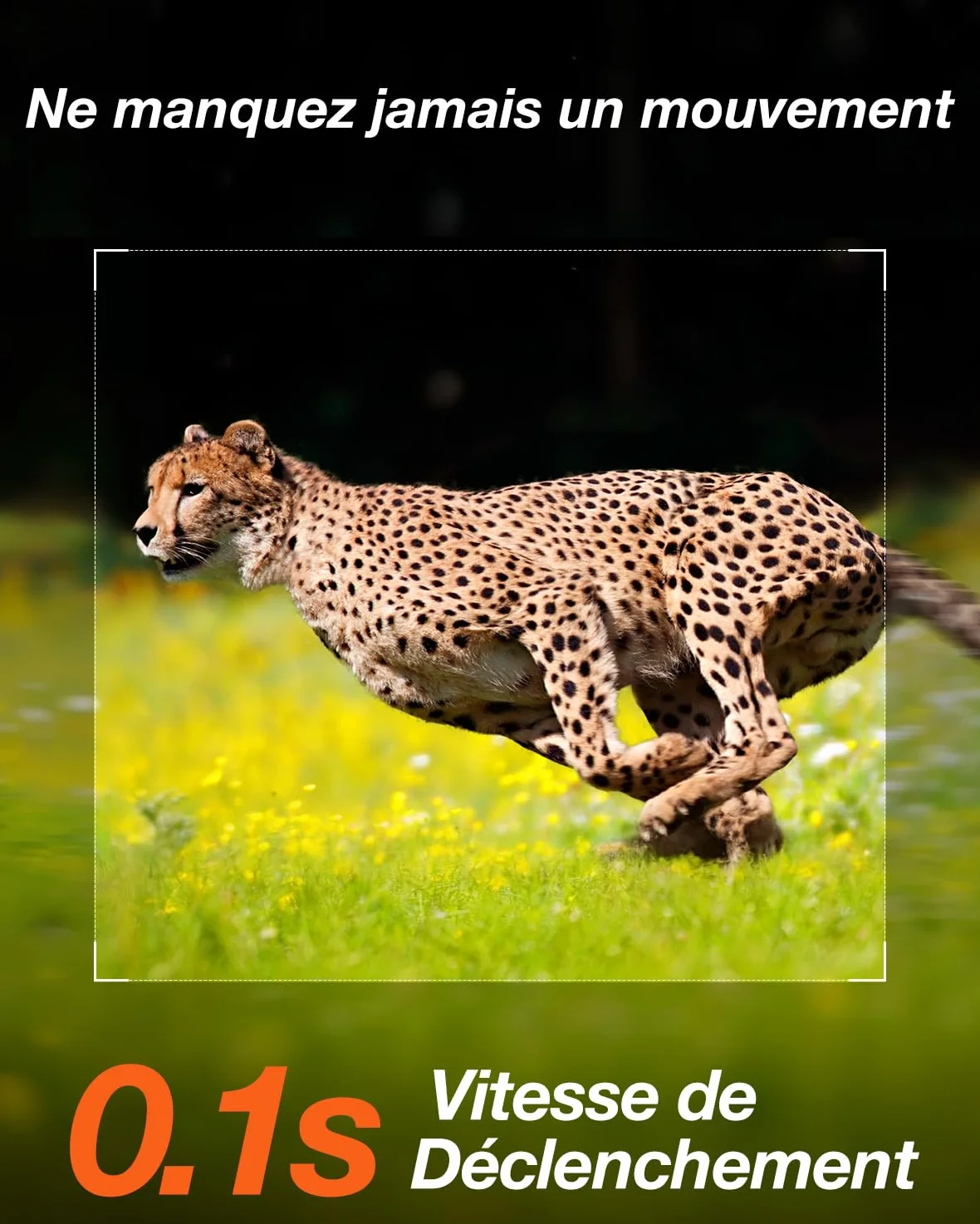 iZEEKER Solaire WiFi Caméra de Chasse, 4K 64MP Bluetooth Caméra de Chasse avec Vision Nocturne, 0,1s Temps de Déclenchement Activé par Mouvement, 5200mAh Batterie