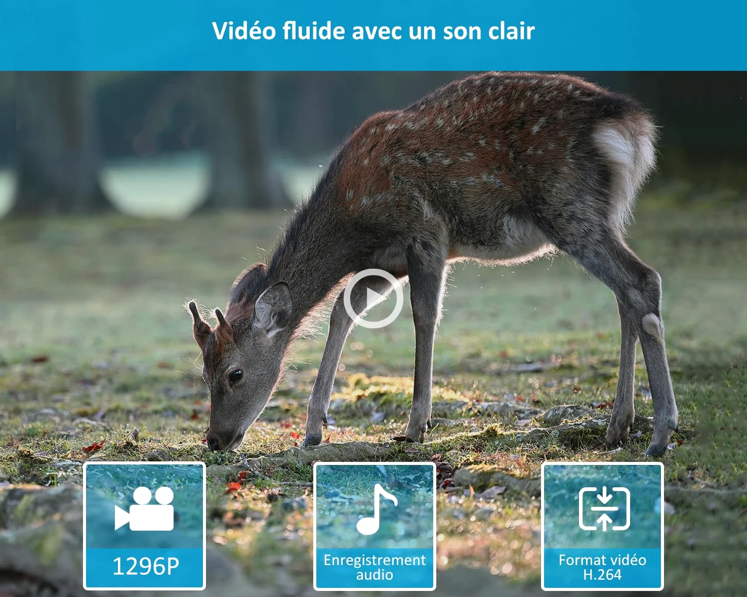 GardePro E5S Caméra de Chasse 64MP 1296P H.264 Vidéo, Jusqu' 30m Camera Chasse Infrarouge Vision Nocturne, Vitesse de Dclenchement 0,1s et Angle de Dtection 120°, 940nm IR LED