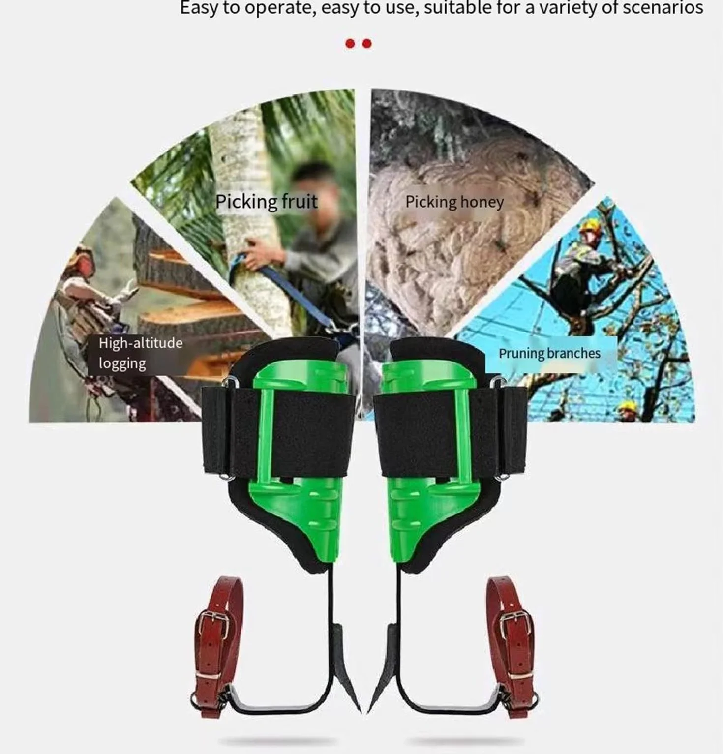 Griffe d'élagage Crampons d'escalade des Arbres pour Observation Chasse Cueillette