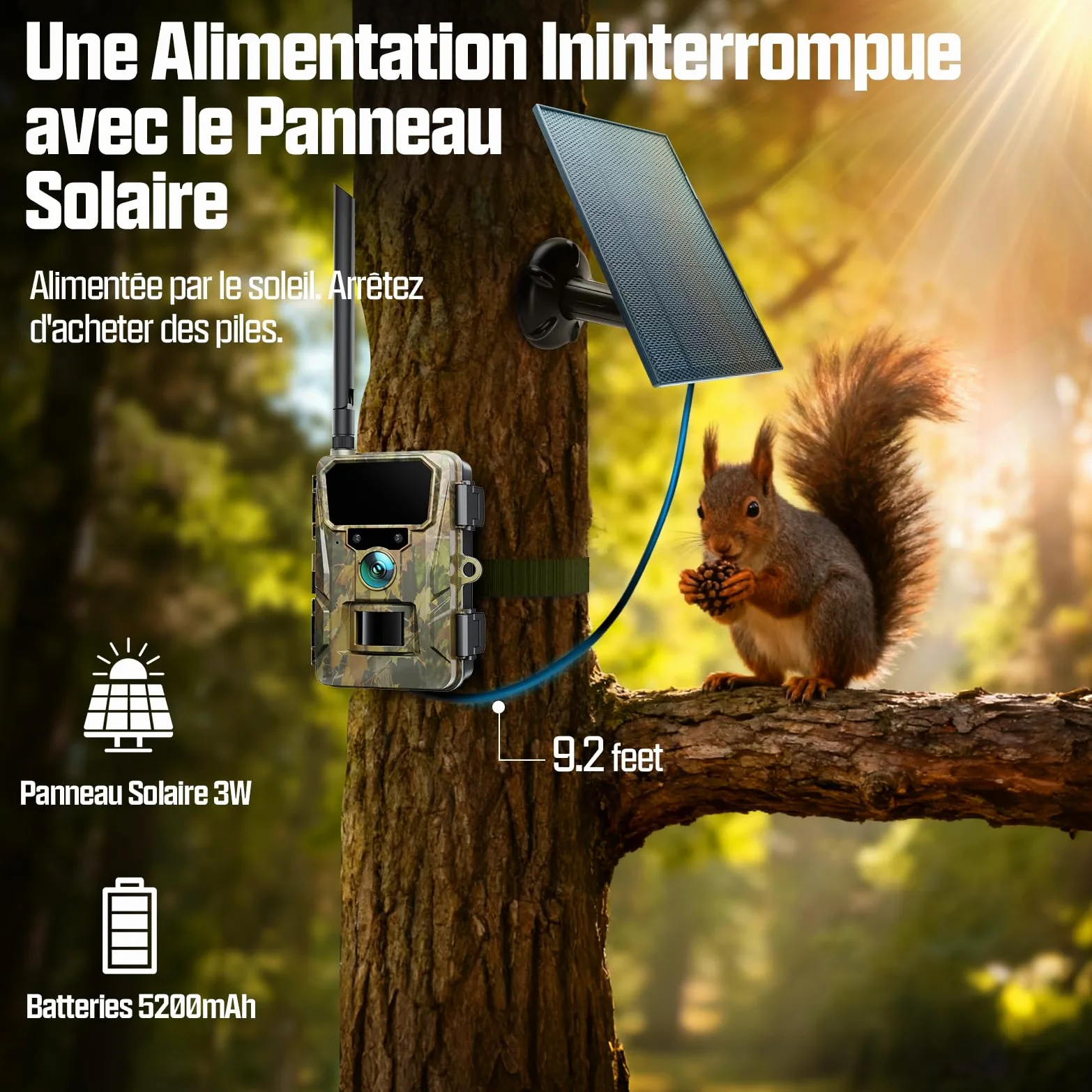 CEYOMUR 4G LTE Cellulaire Camera de Chasse, 48MP Caméra de Chasse Solaire | 5200 mAh Batterie, Piege Photographique avec Carte TF 64 GB et Carte SIM, Alarme Instantanée Via APP, Stockage Cloud