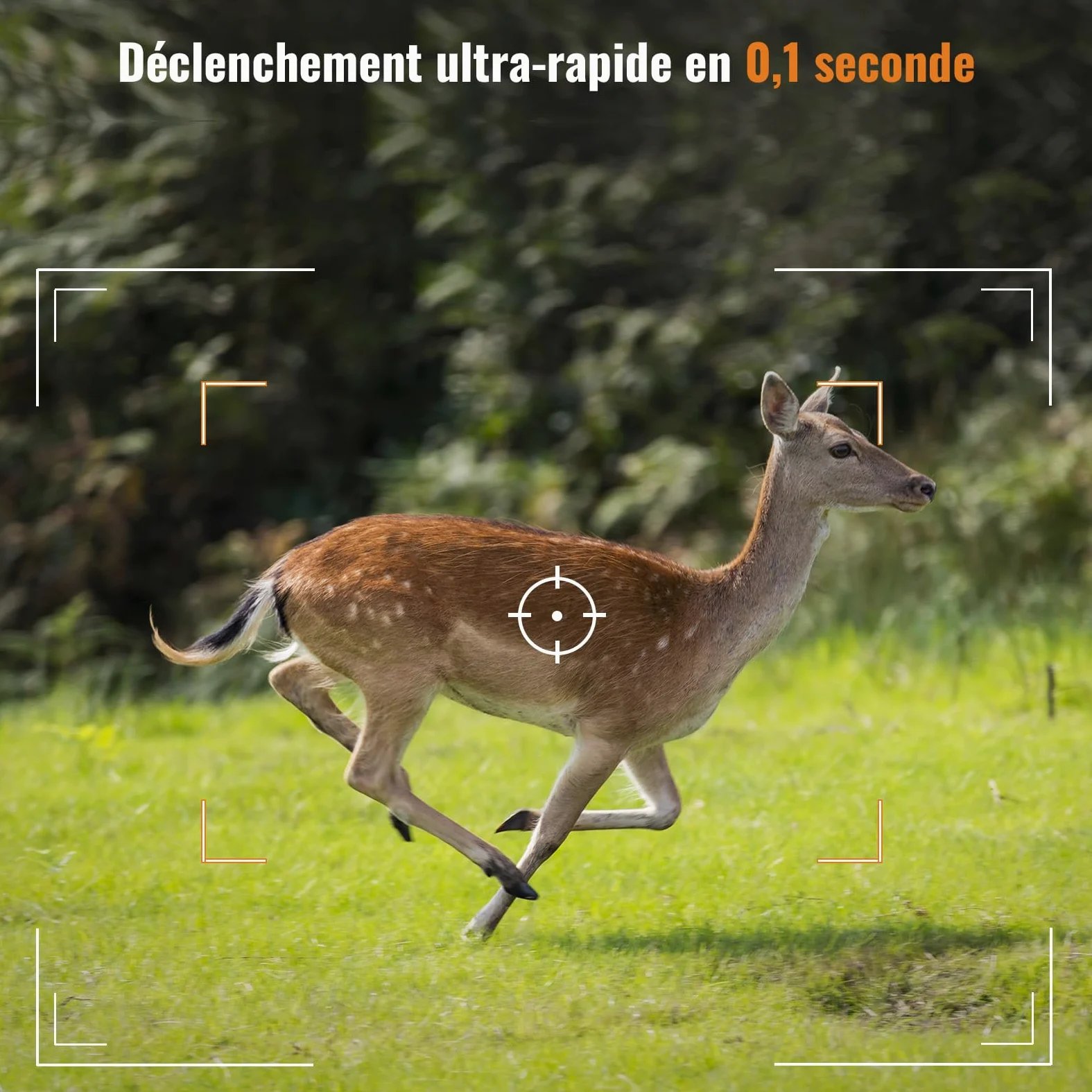 GardePro 4K Camera de Chasse avec Carte SD 32 Go, 64MP 4K Infrarouge Vision Nocturne Animaux Piege Photographique, No Glow 940nm IR LEDs Caméra de Chasse Suiveuse Exterieur Étanche, IP66