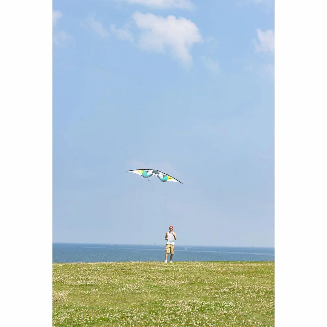 HQ Jive III Cerf-Volant 2 Lignes
