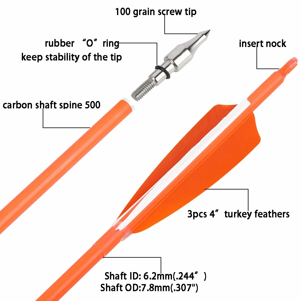 Flèches de Chasse en Carbone Fluorescent 31" 500 600 Spine Plume Naturelle Tir à l'Arc Poulies Recurve Arc Long 6/12pcs