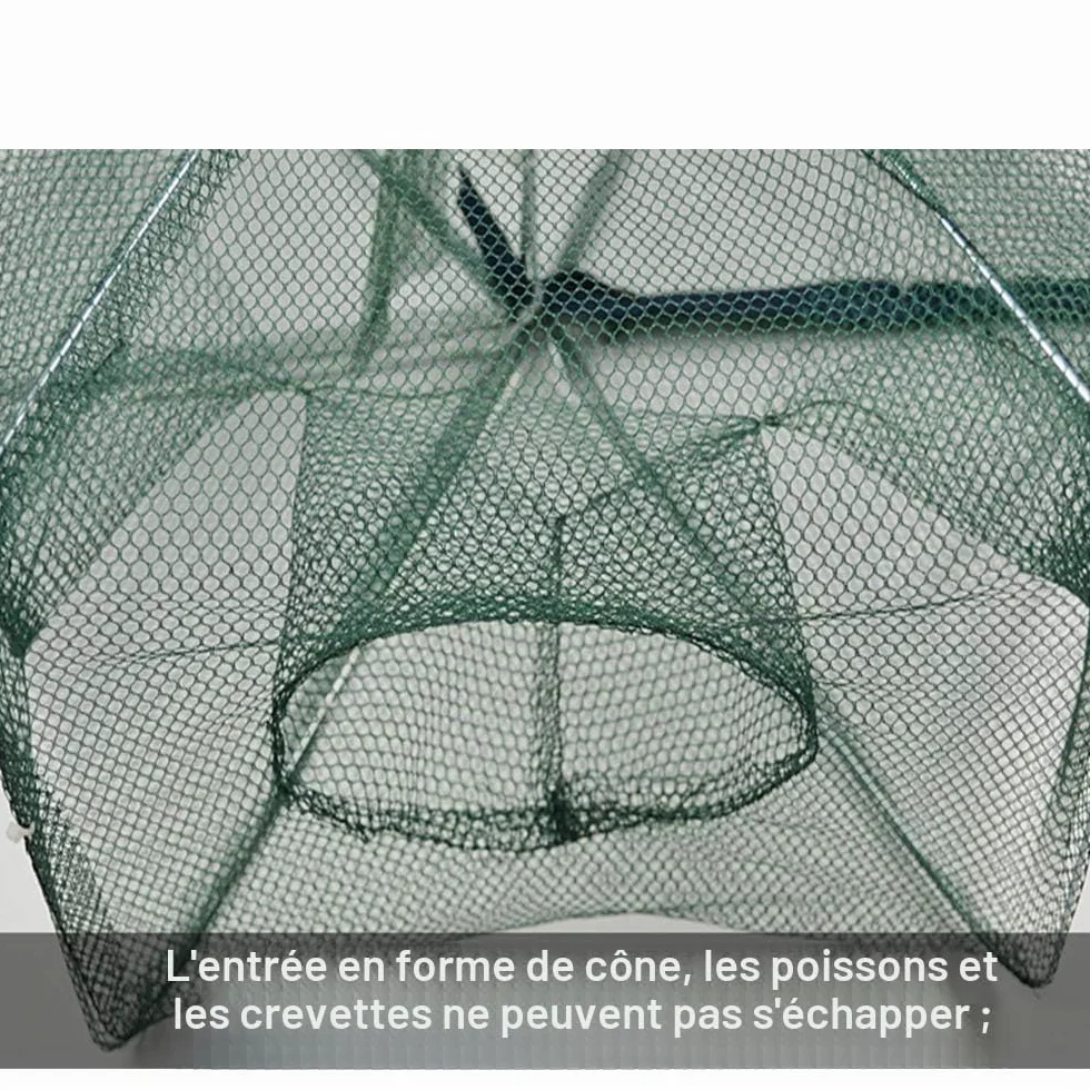 Piège à appâts Pliable pour crabes, écrevisses, ménés, crawdad crevettes et crevettes
