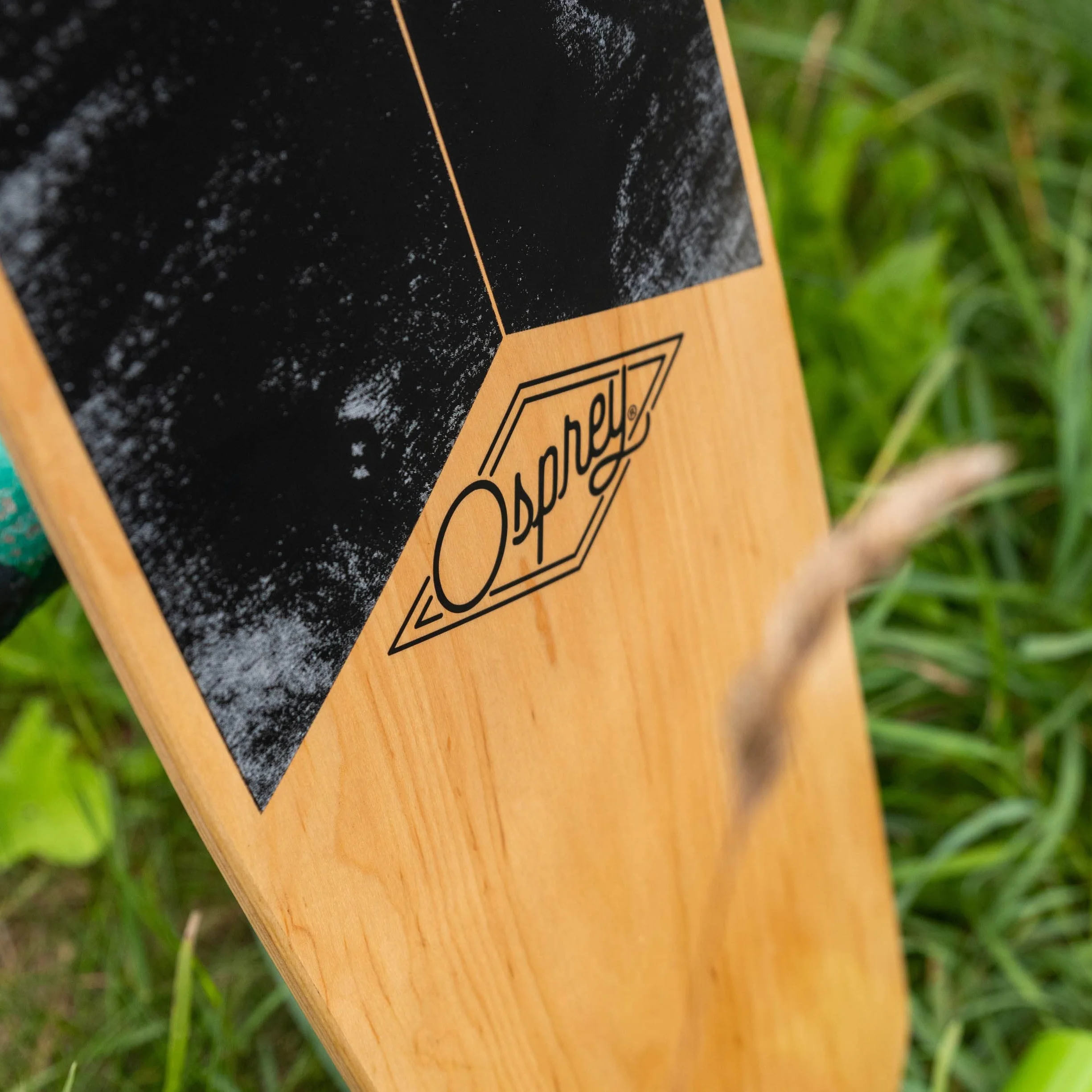 Osprey Longboard à Double Pointe en érable Canadien, Planche à roulettes complète