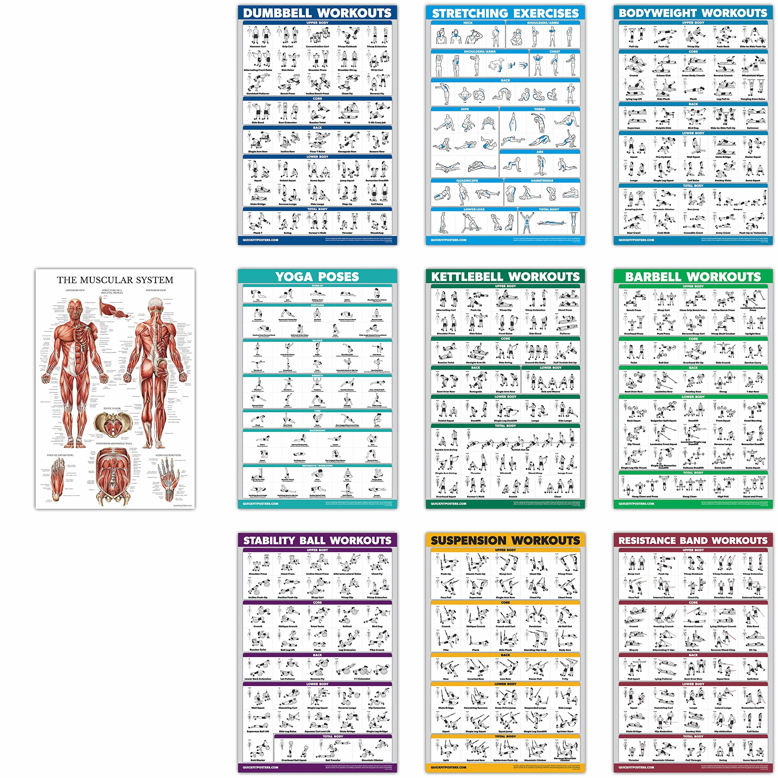 Lot de 10 affiches d'entraînement – Haltères, suspension, kettlebell, bandes de résistance, étirements, poids corporel, yoga, ballon, système musculaire